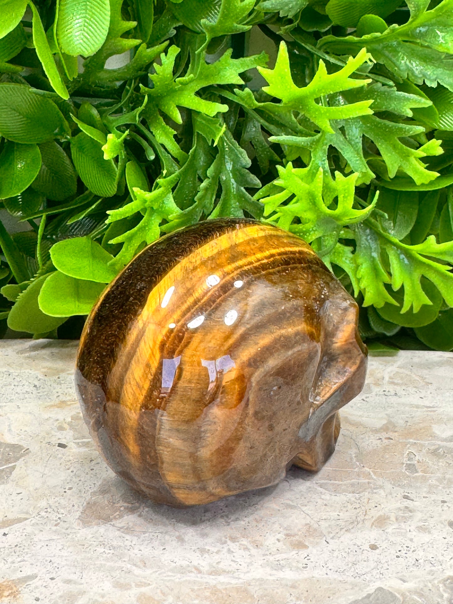 Tiger Eye Skull 386g