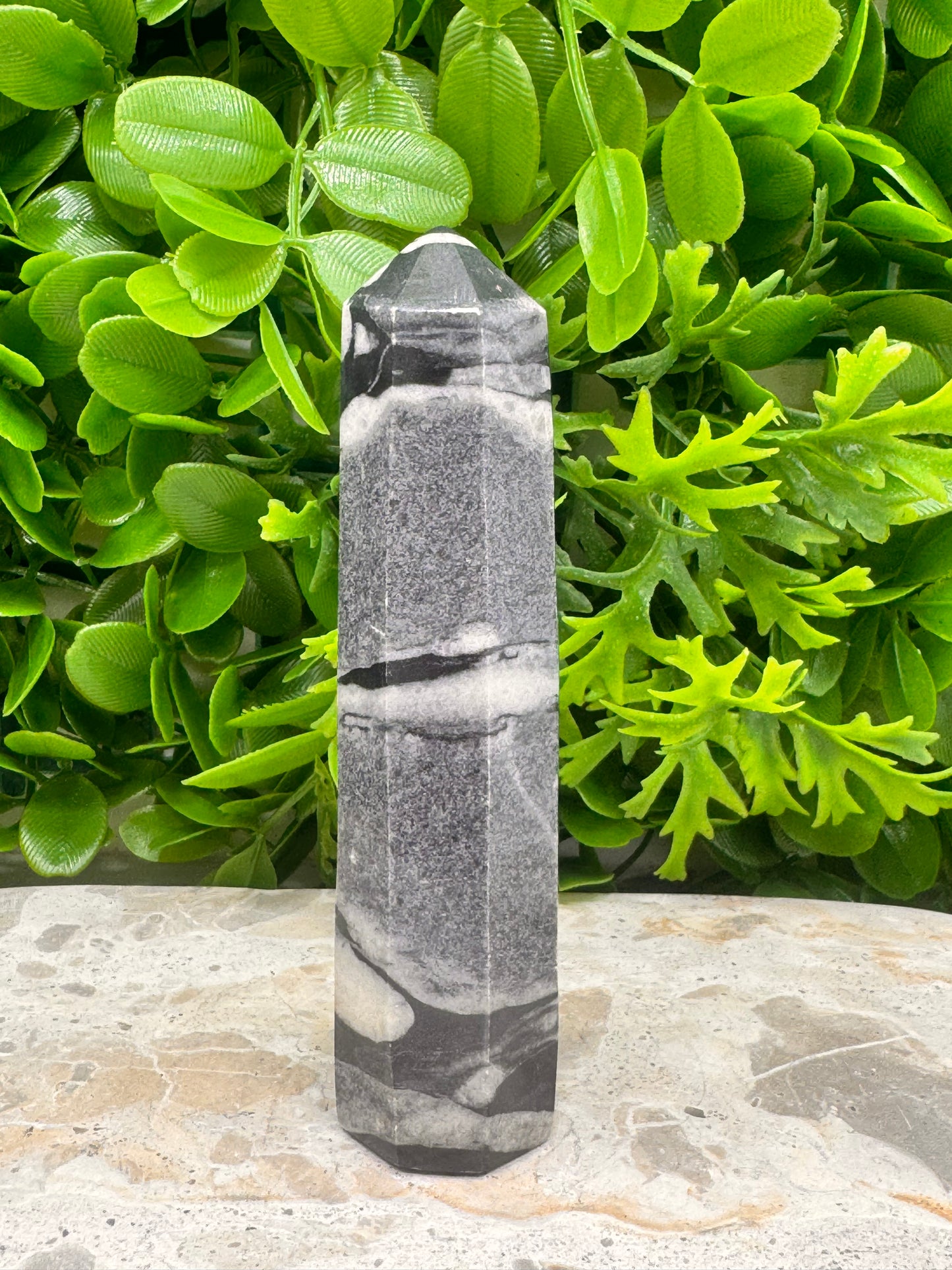 Shell Jasper Tower 220g