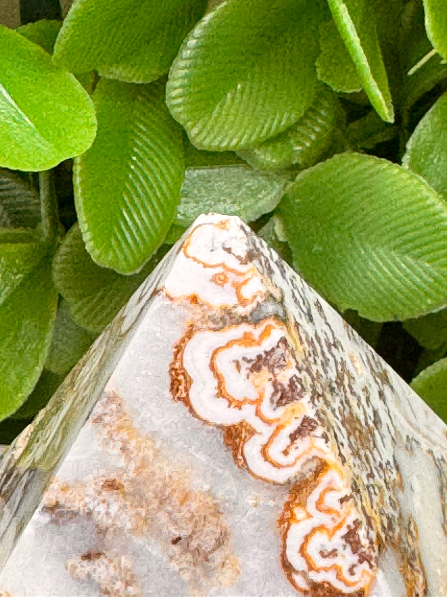 Dendritic Ocean Root Jasper Pyramid 366g