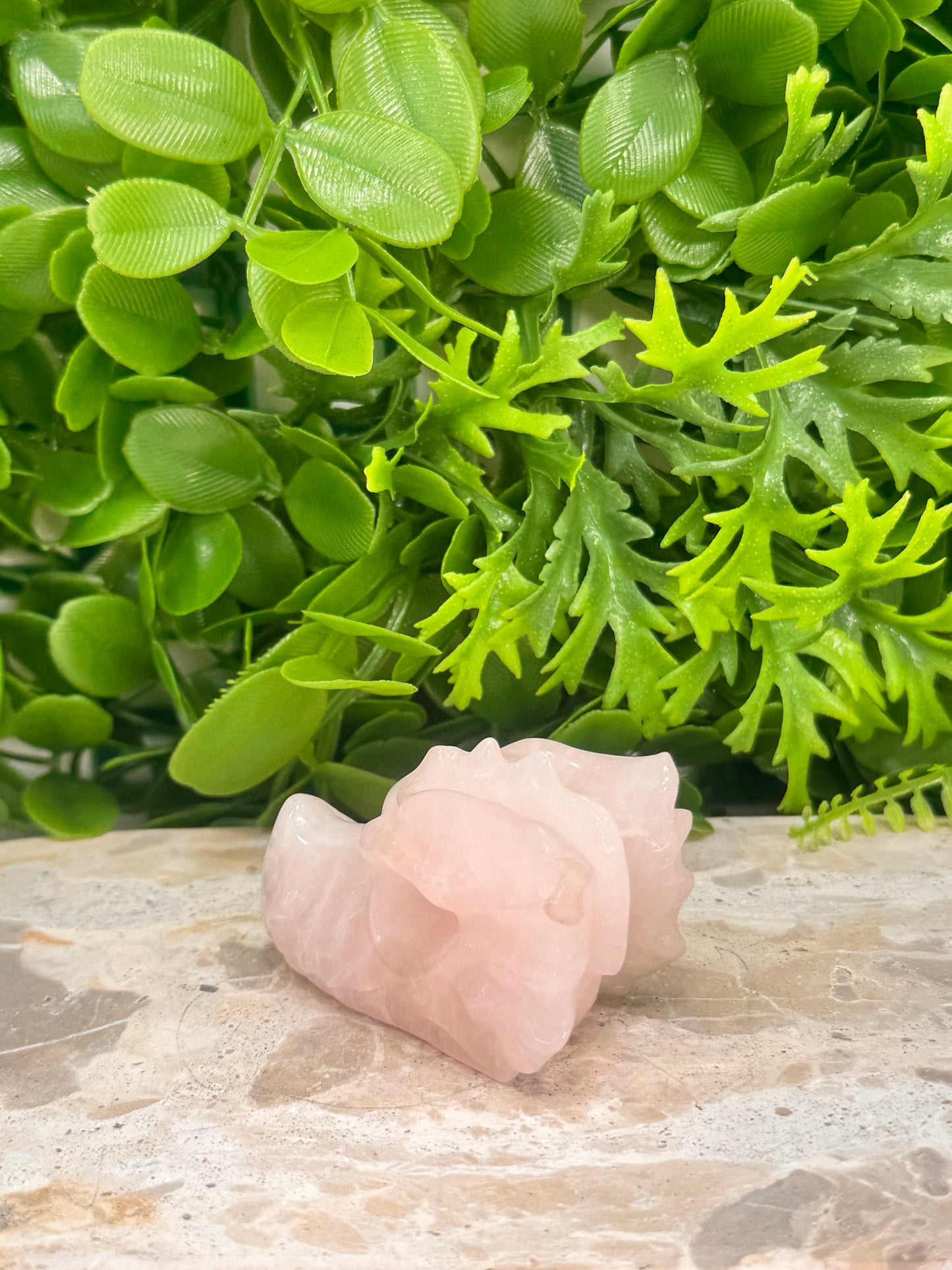 Rose Quartz Dragon Skull 102g