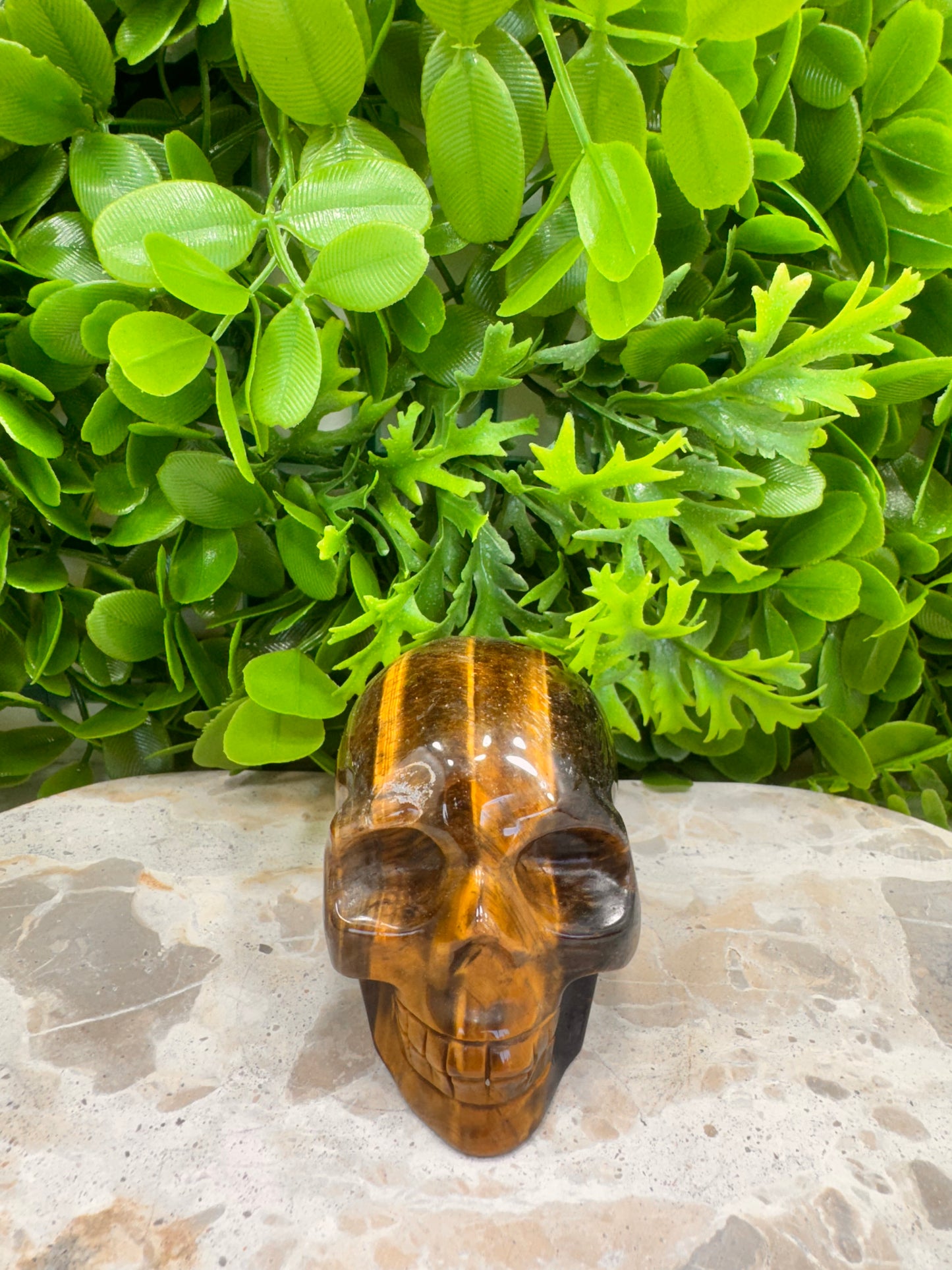 Tiger Eye Skull 386g