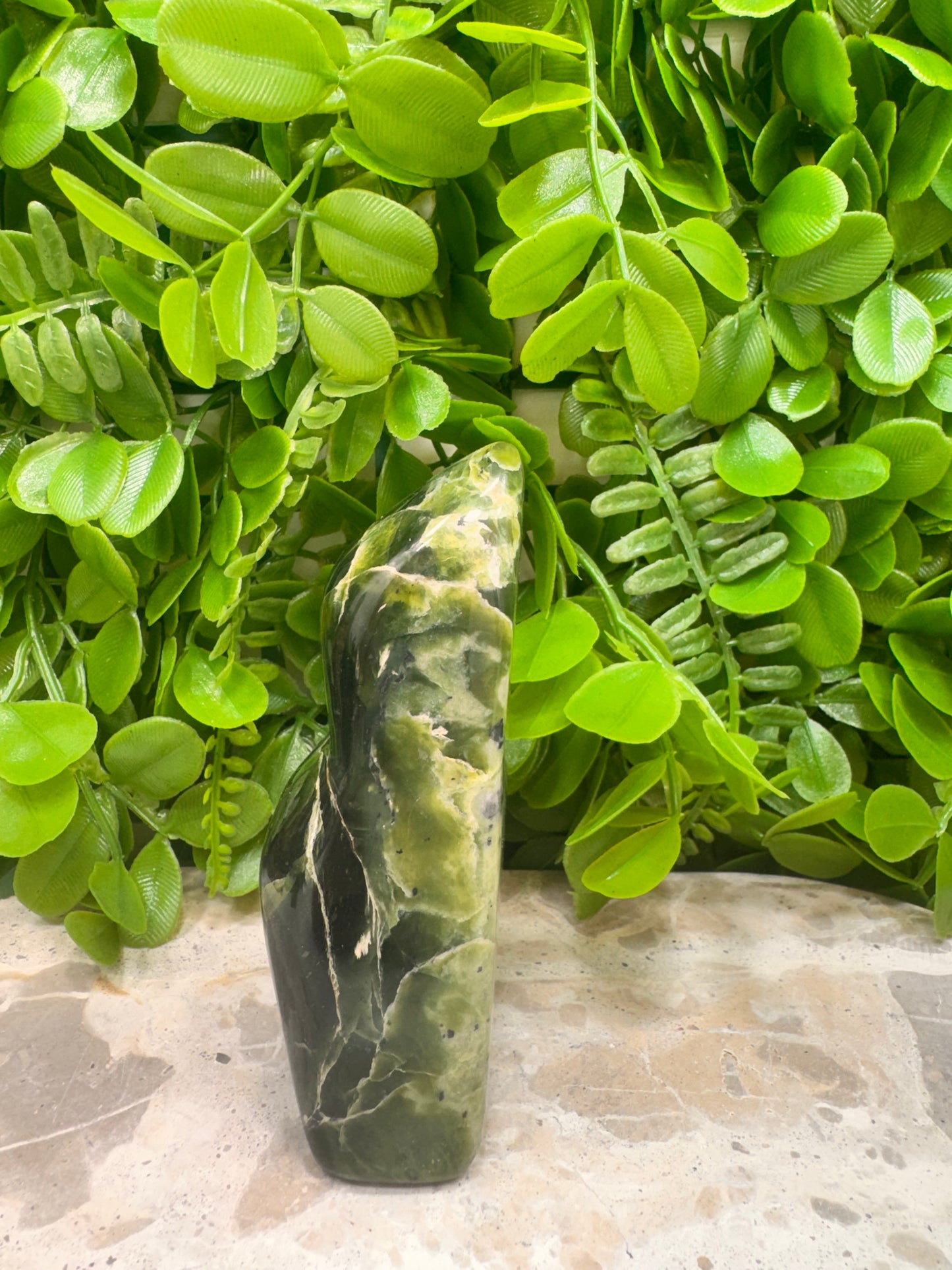 Nephrite Jade Freeform 322g