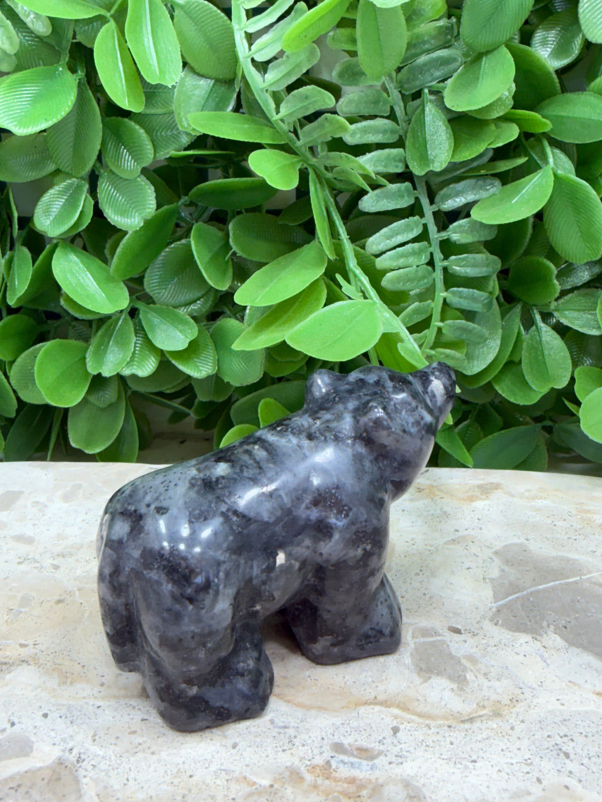 Larvikite Bear 178g | Grounding • Protection • Clarity