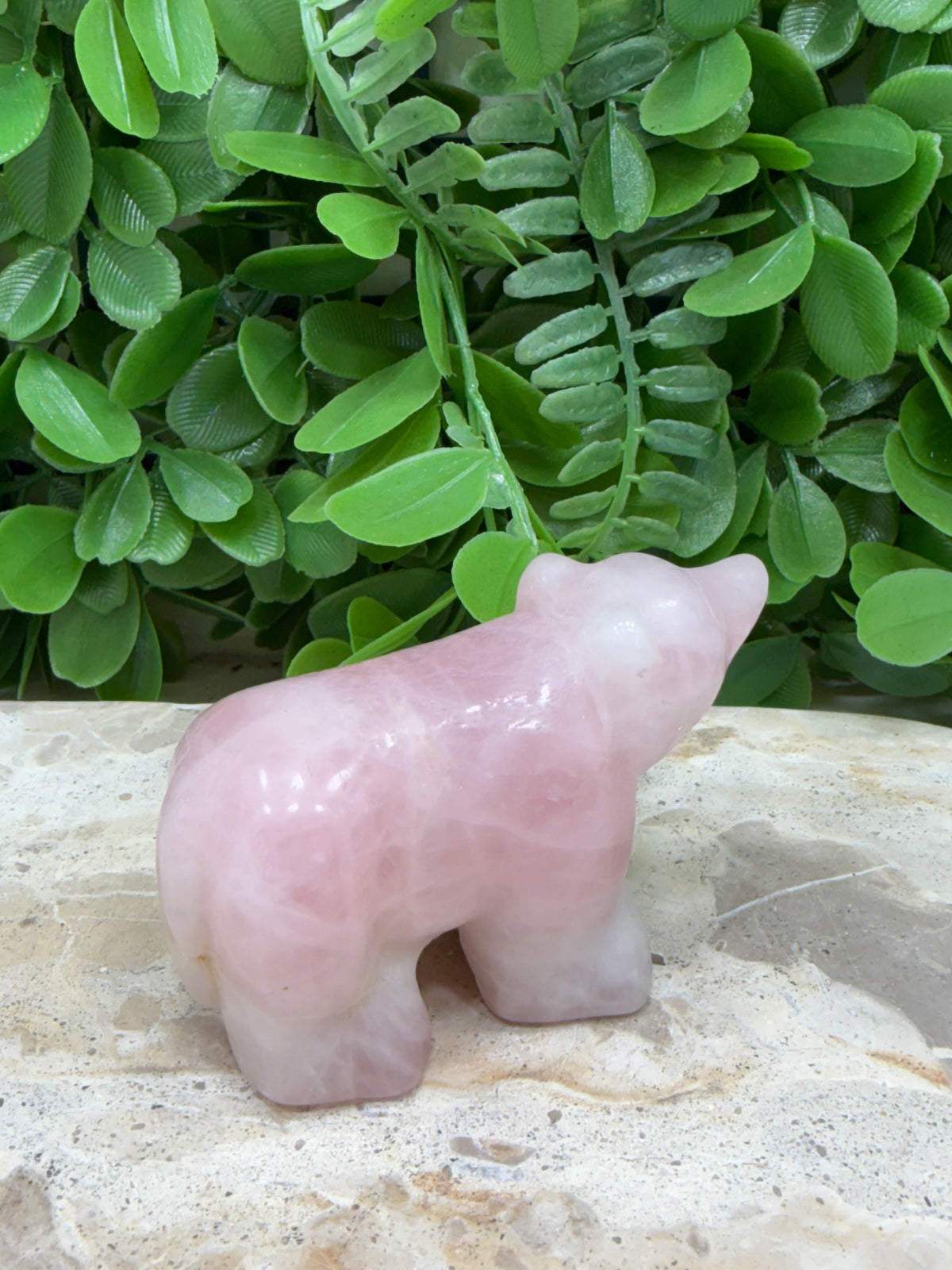 Rose Quartz Bear 180g | Love • Compassion • Healing