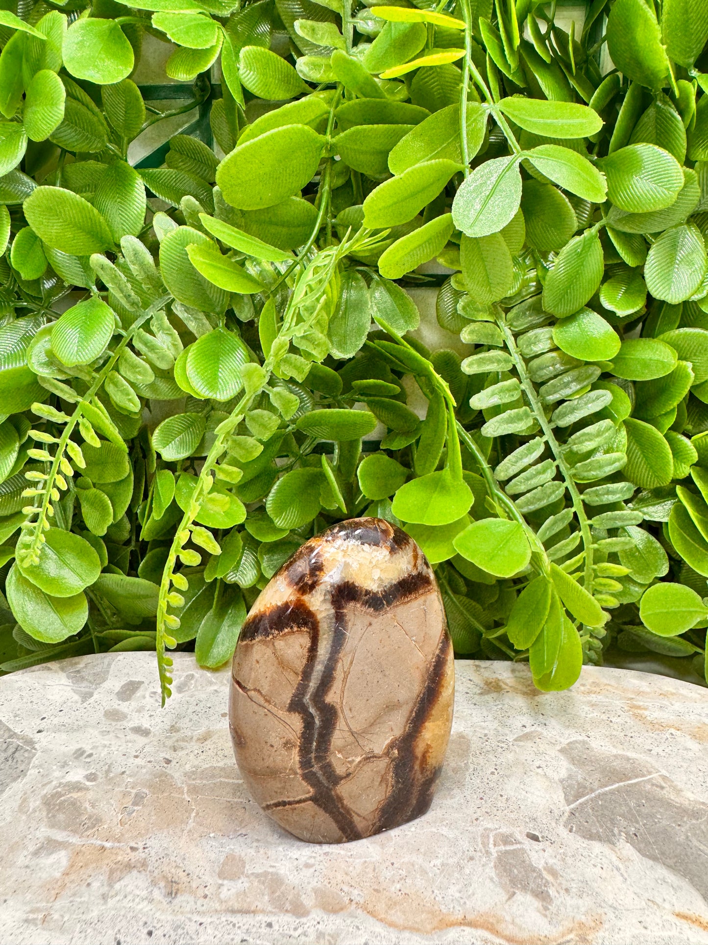 Septarian Freeform 146g