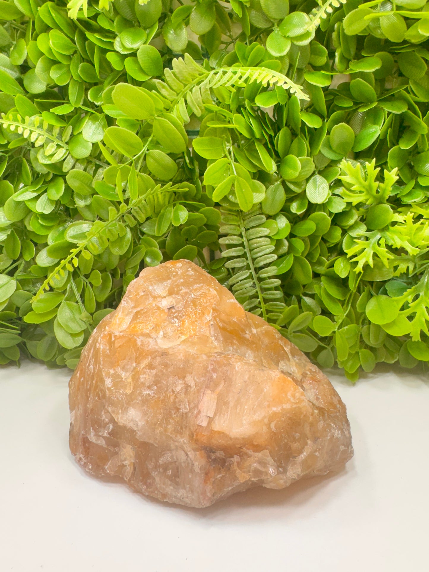 Golden Healer Raw 2680g