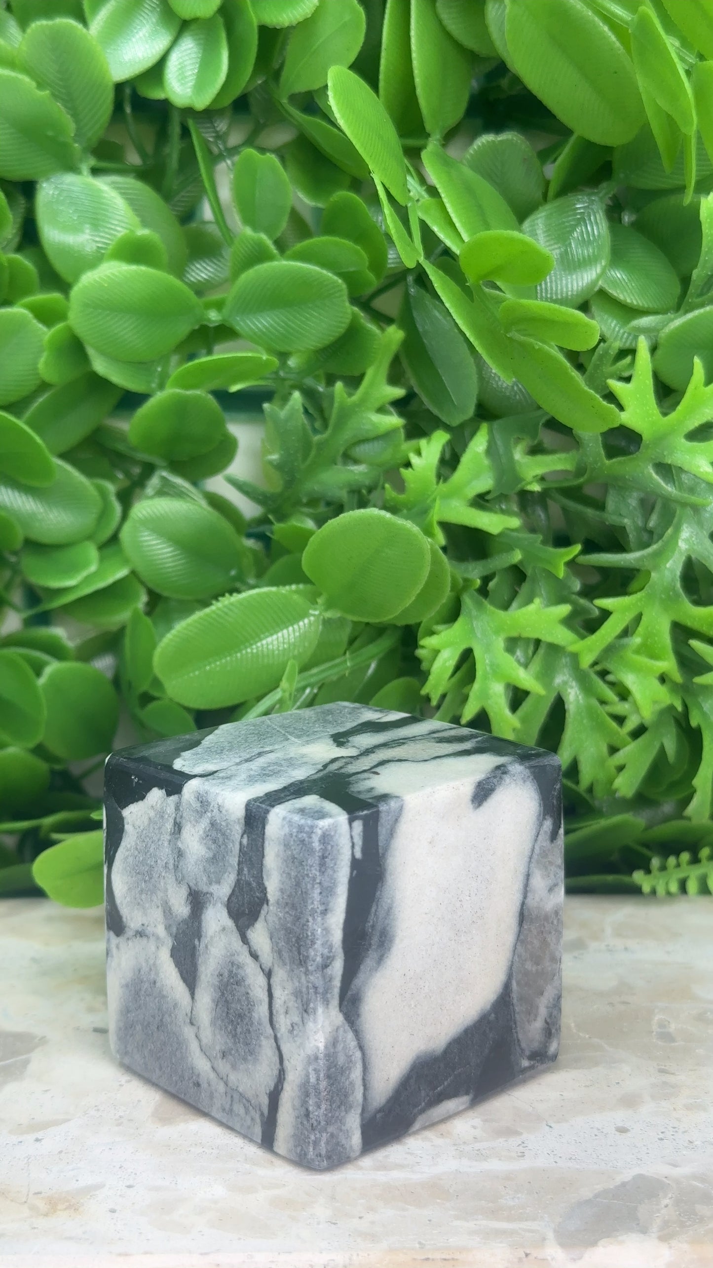 Shell Jasper Cube 340g