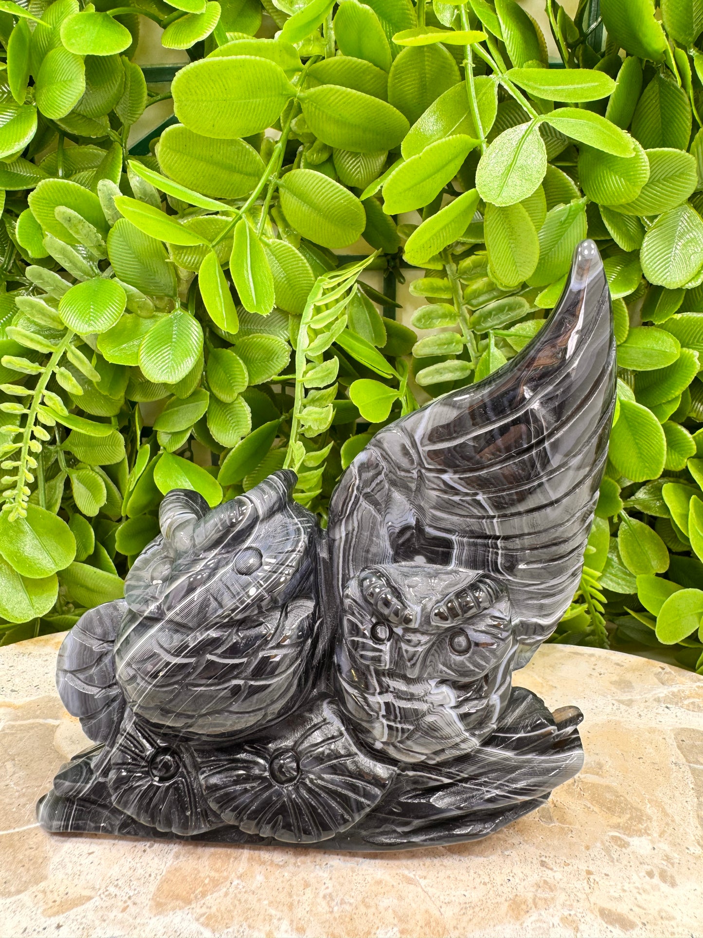 Black Agate Twin Owl Carving 404g