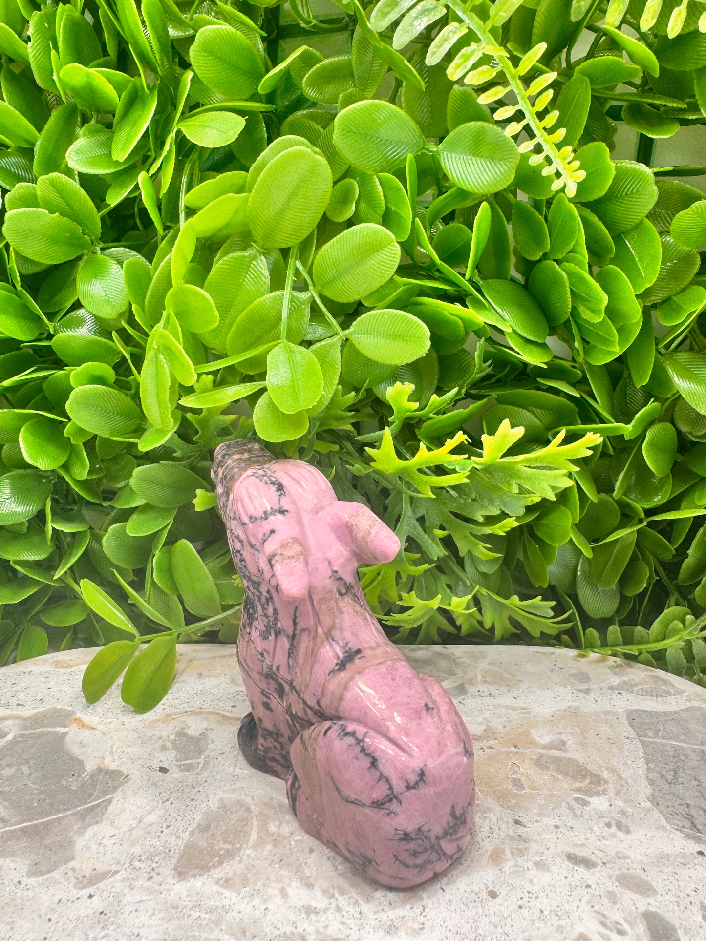 Rhodonite Wolf 358g