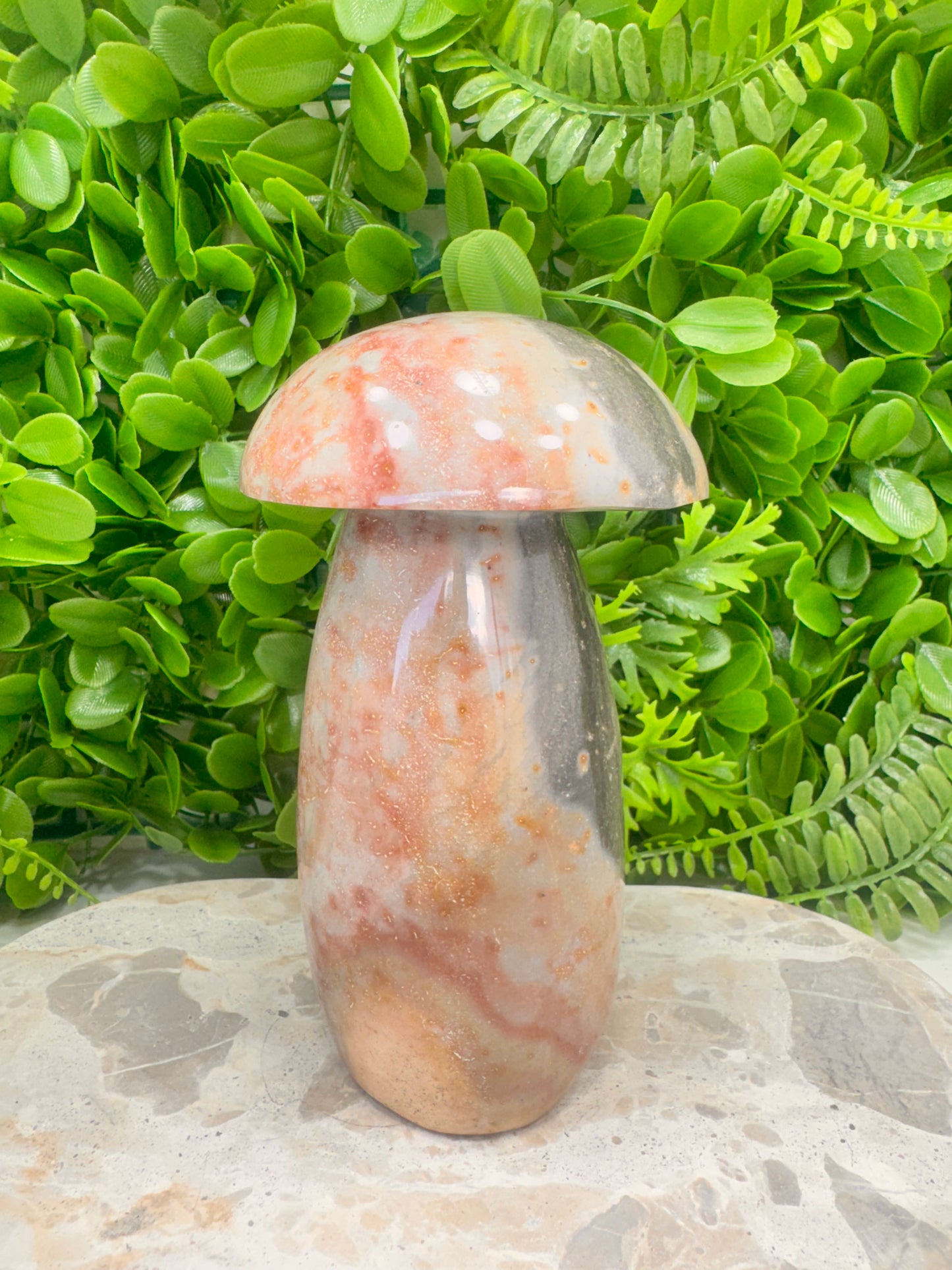 Ocean Jasper Mushroom 1.6kg