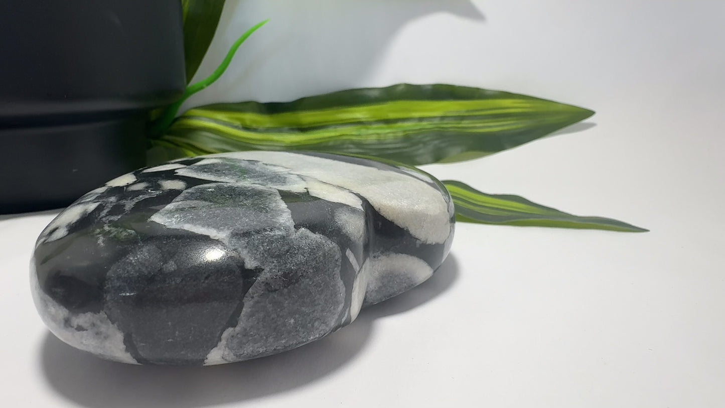 Shell Jasper Heart 738g
