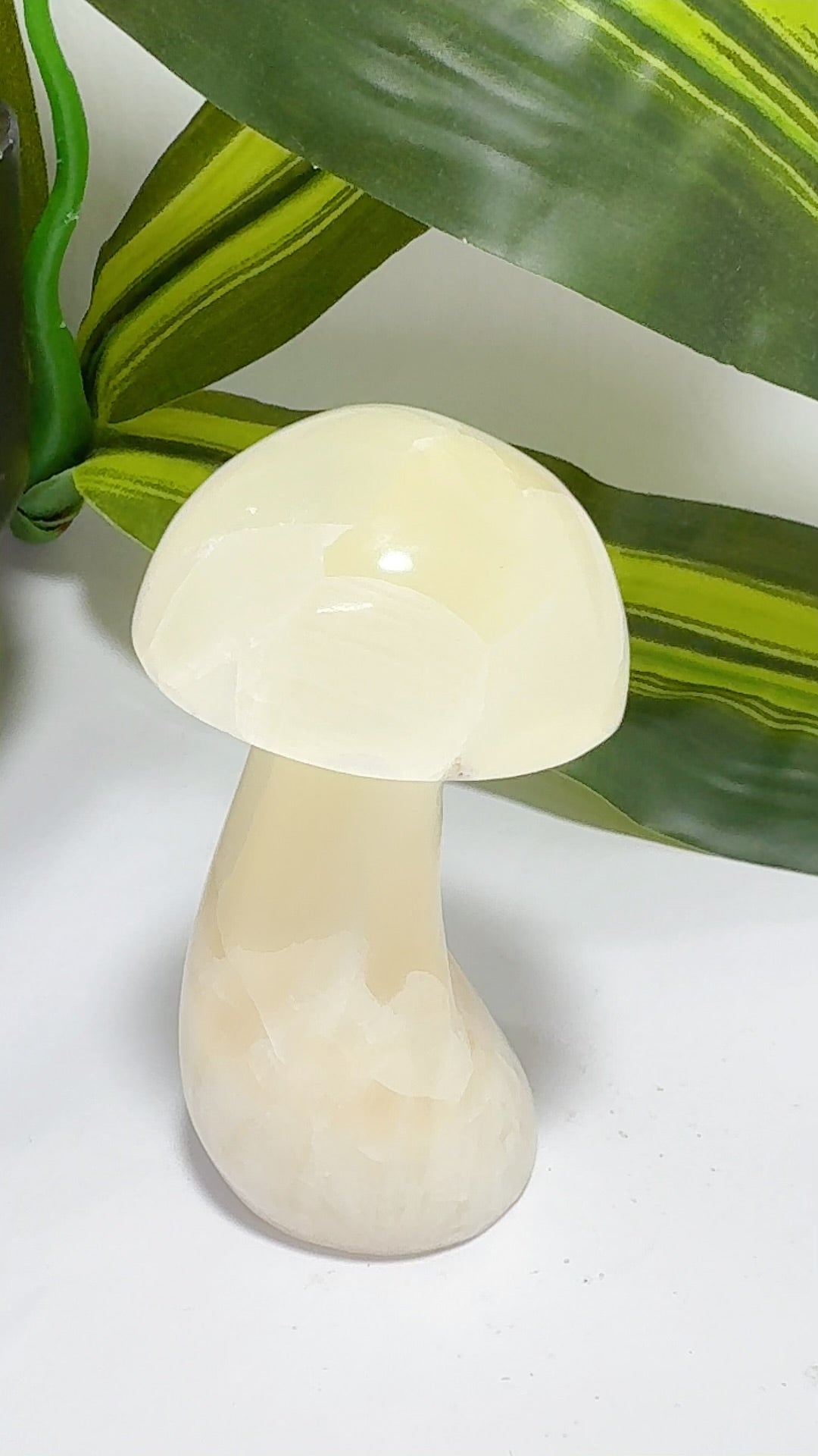 Lemon Calcite Mushroom 236g