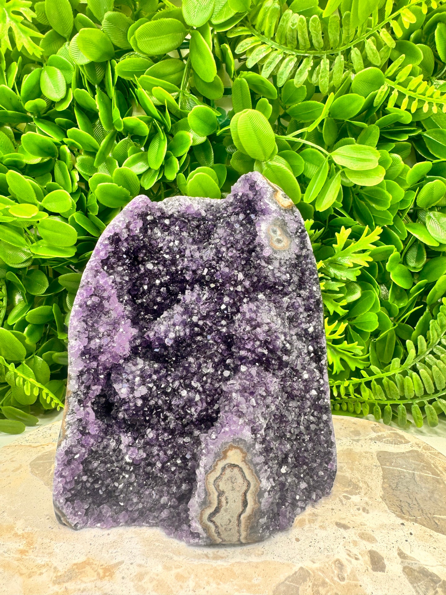 Amethyst Cluster 3146g