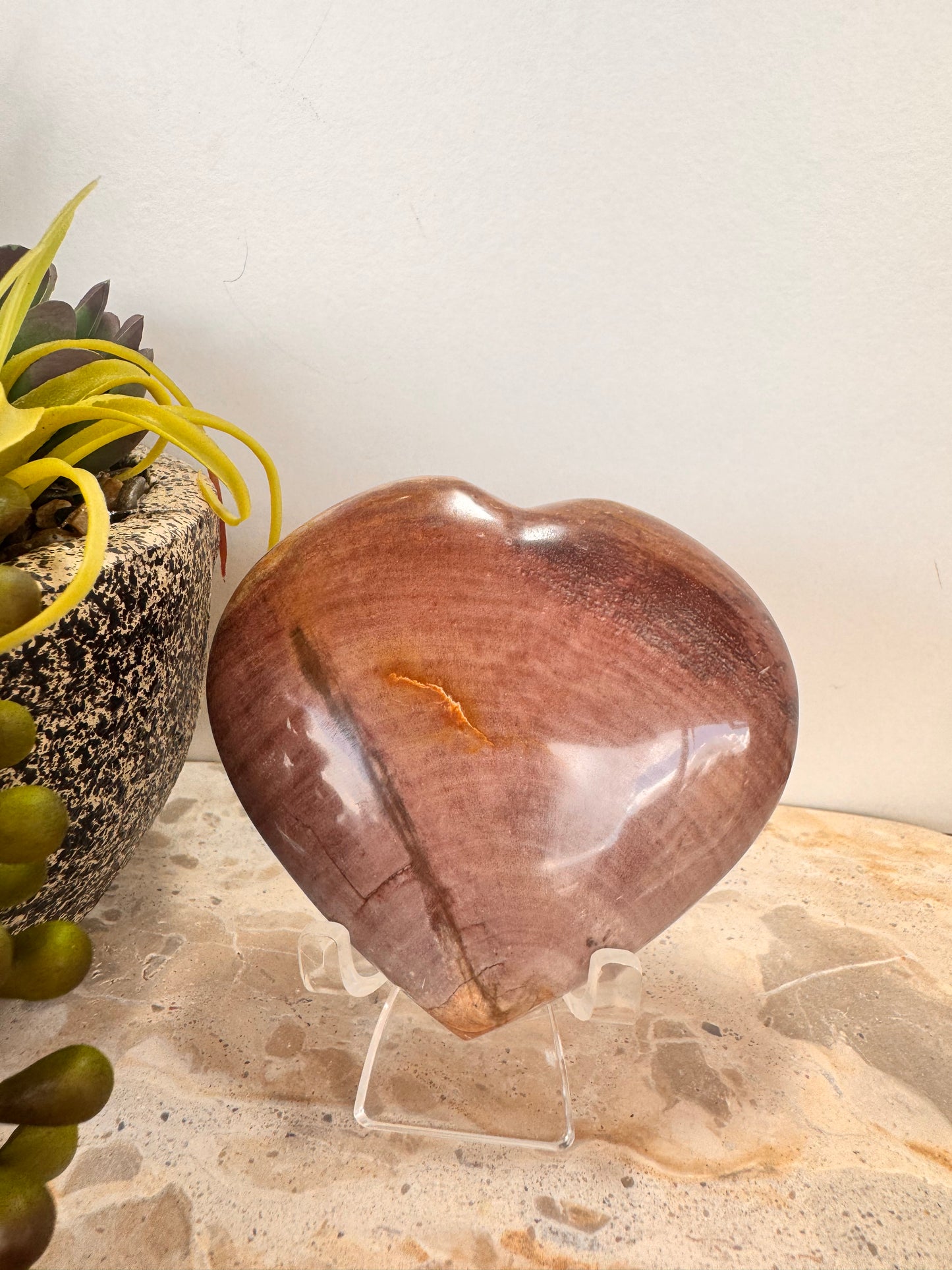 Petrified Wood Heart 266g