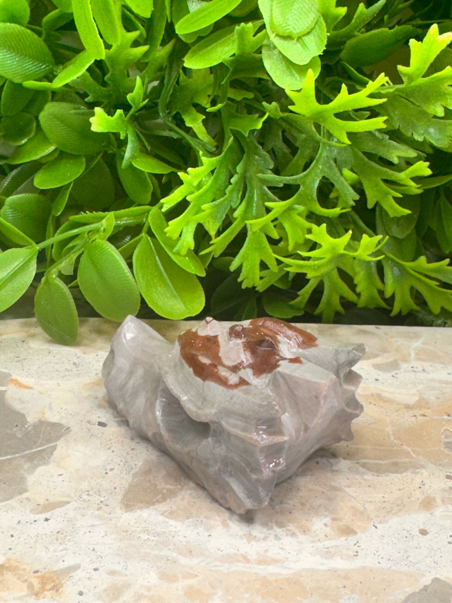 Jasper Dragon Skull 122g
