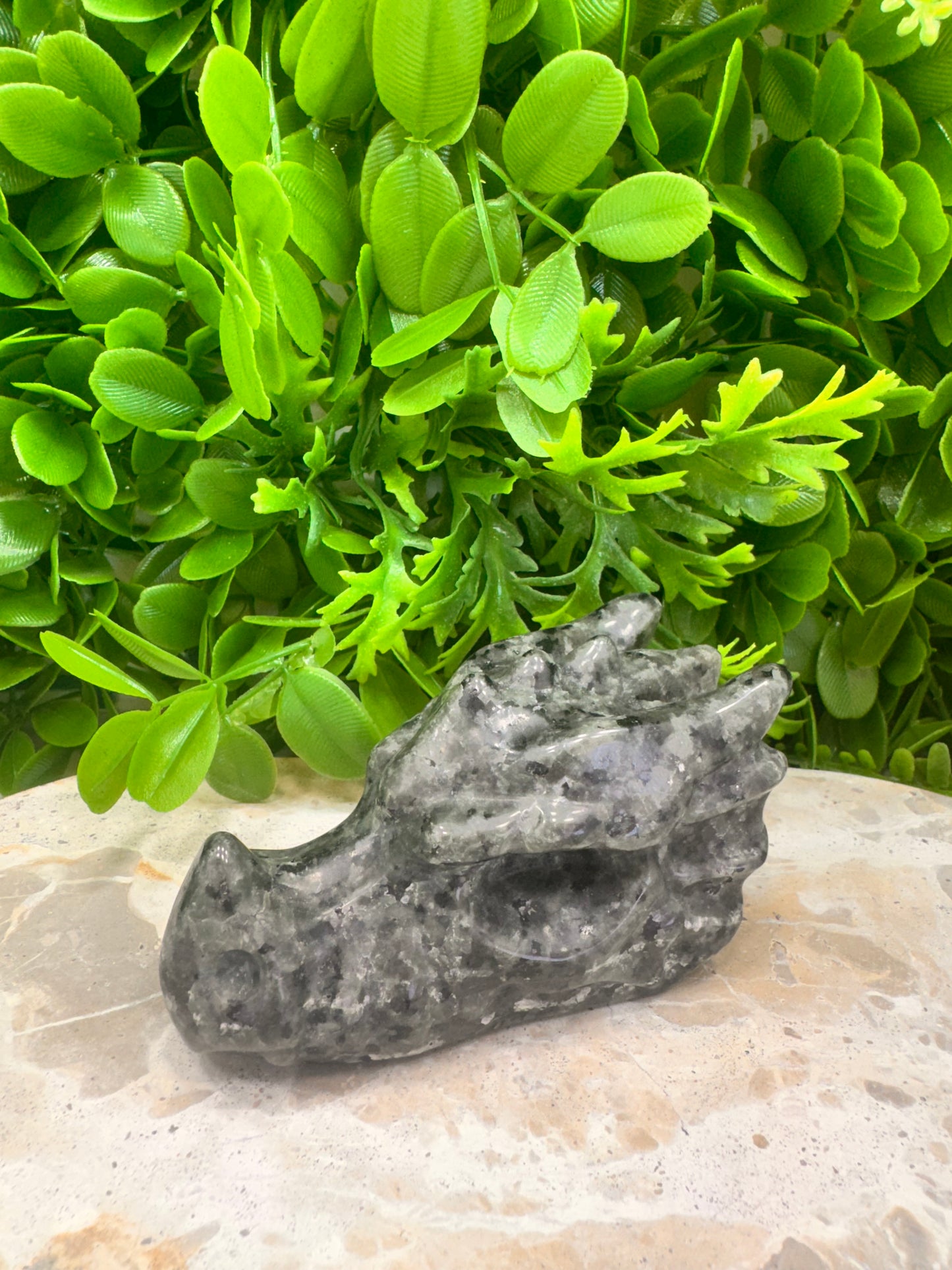 Larvikite Dragon Skull 308g
