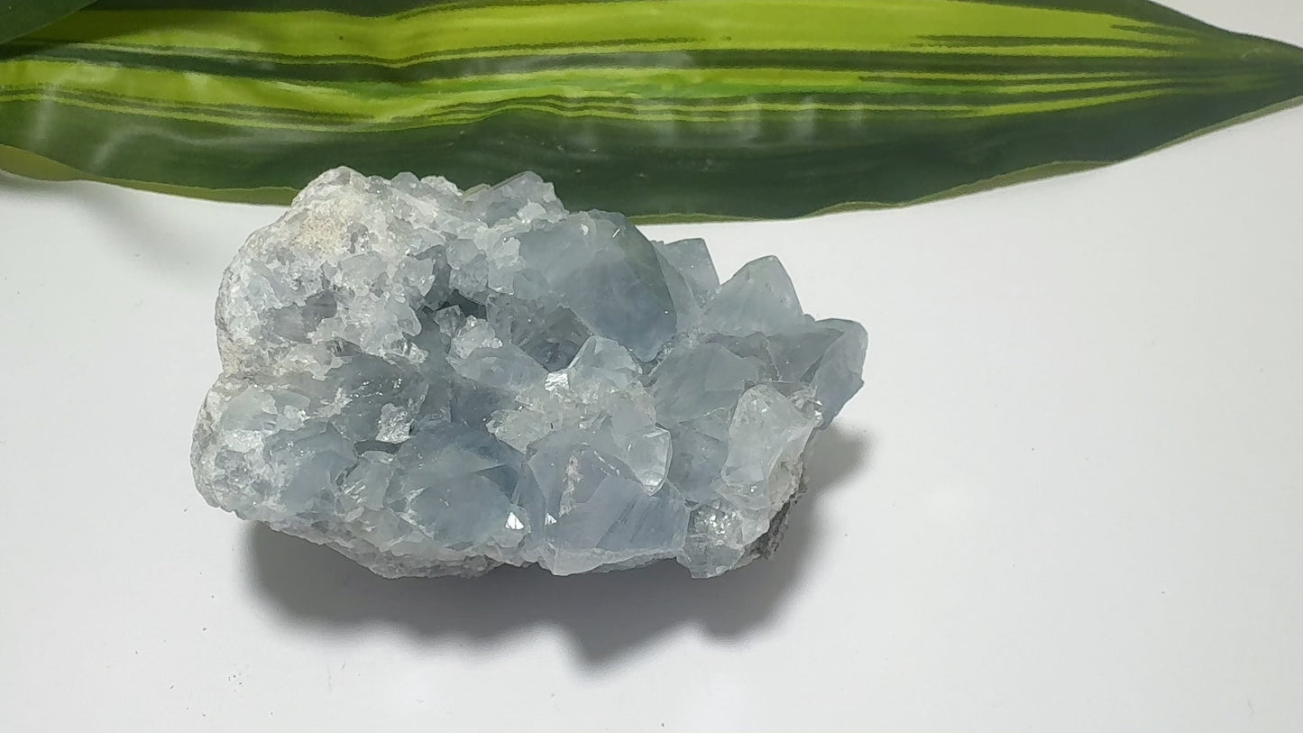 Blue Celestite Cluster 344g