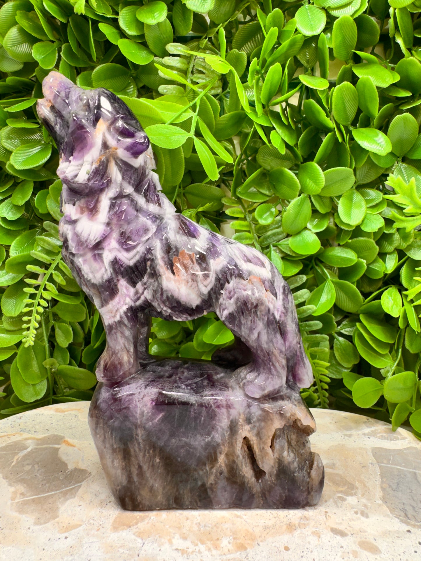 Chevron Amethsyt Wolf 920g