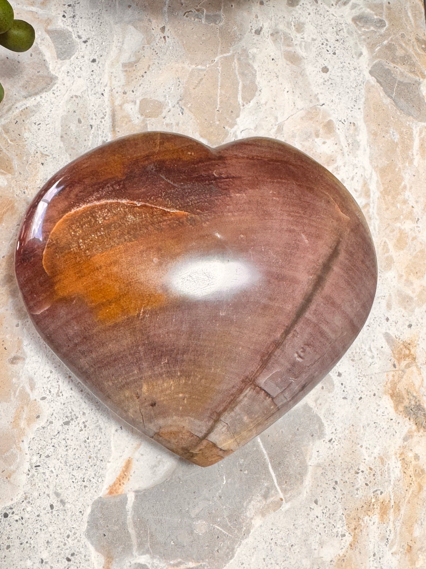 Petrified Wood Heart 266g