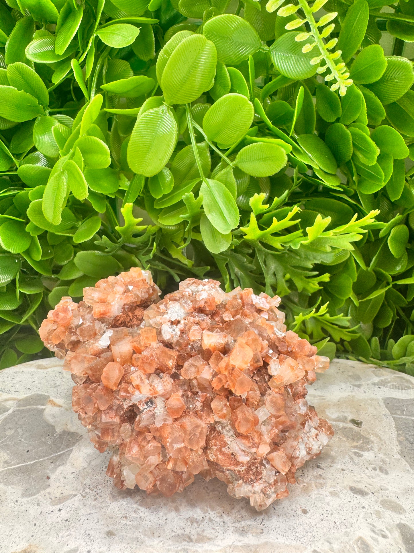 Aragonite Sputnik Freeform 786g