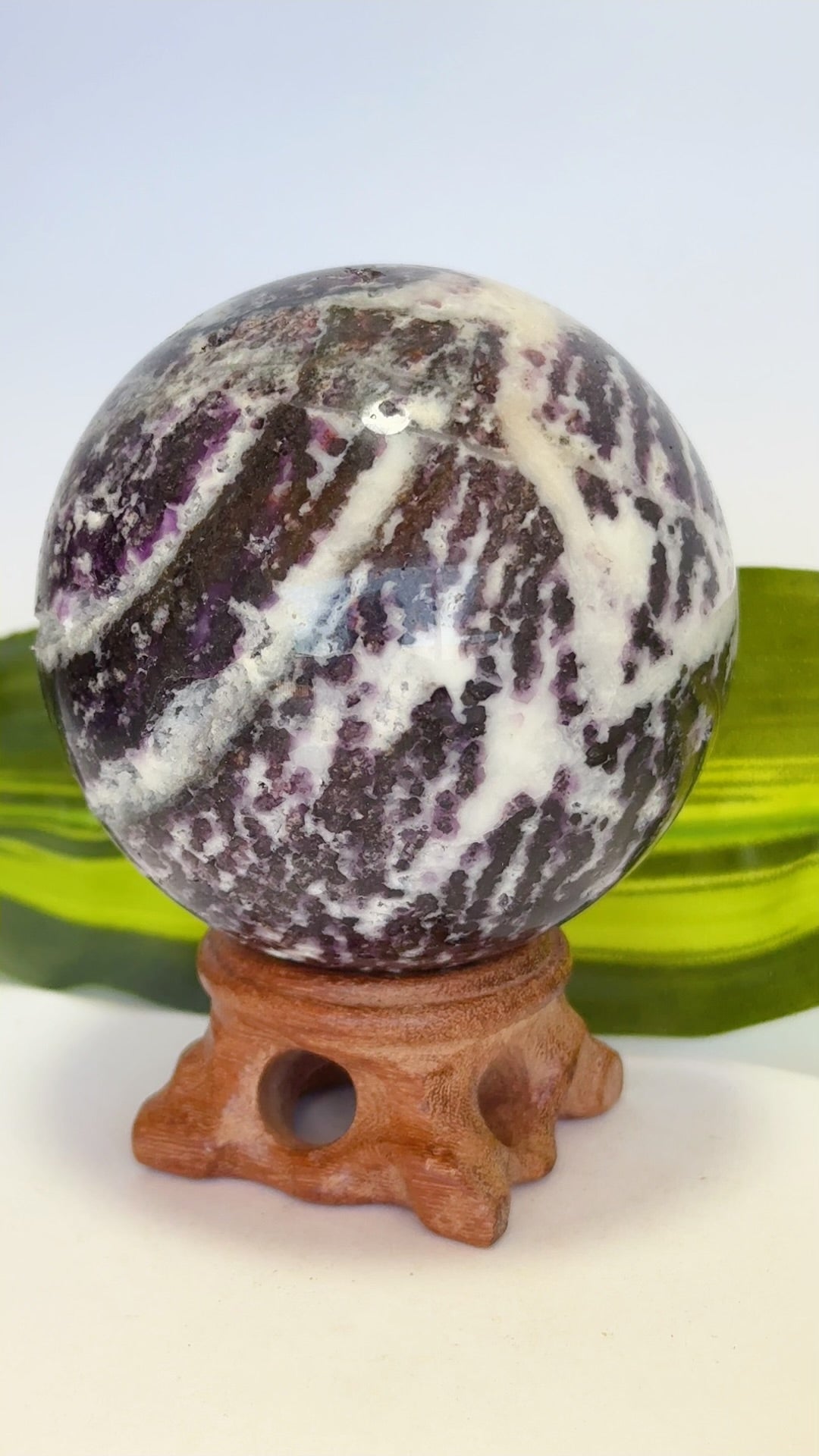 Zebra Jasper Sphere 488g