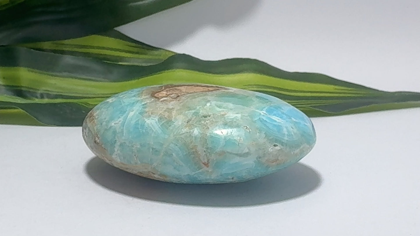 Blue Aragonite Palm Stone 172g