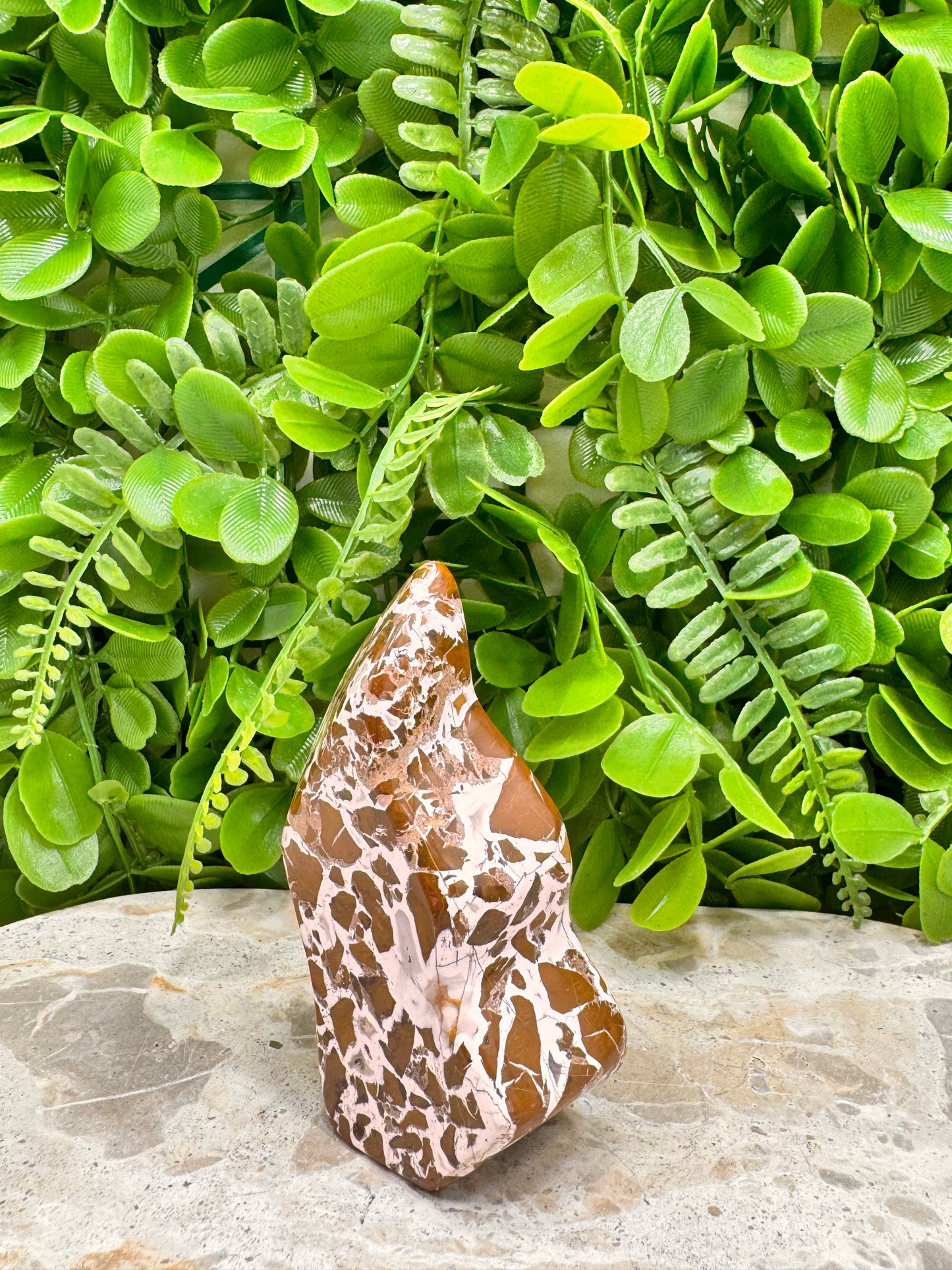 Jasper Agate Freeform 228g