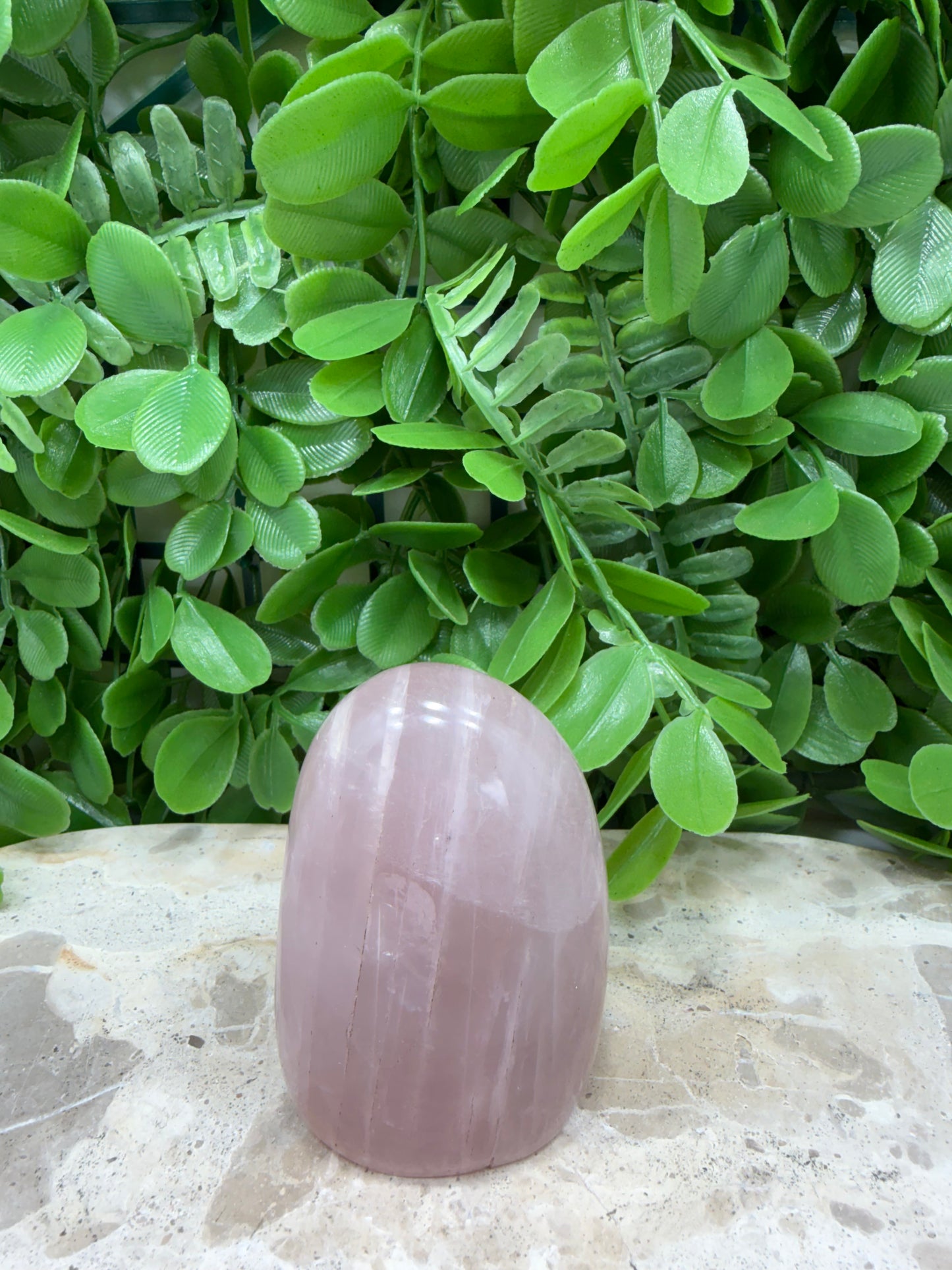 Lavender Rose Quartz Freeform 230g