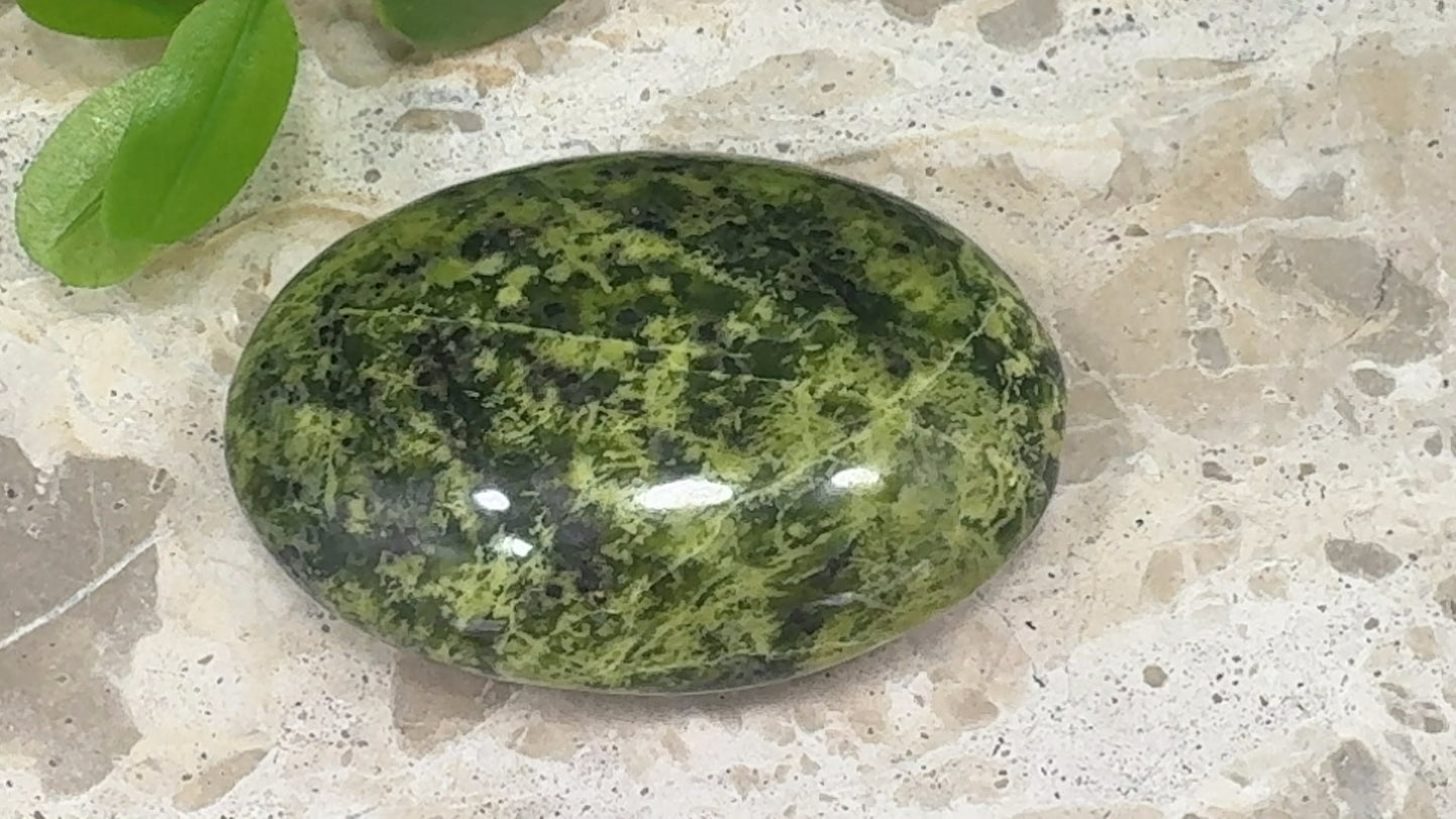 Mixed Serpentine Palm Stone 144g