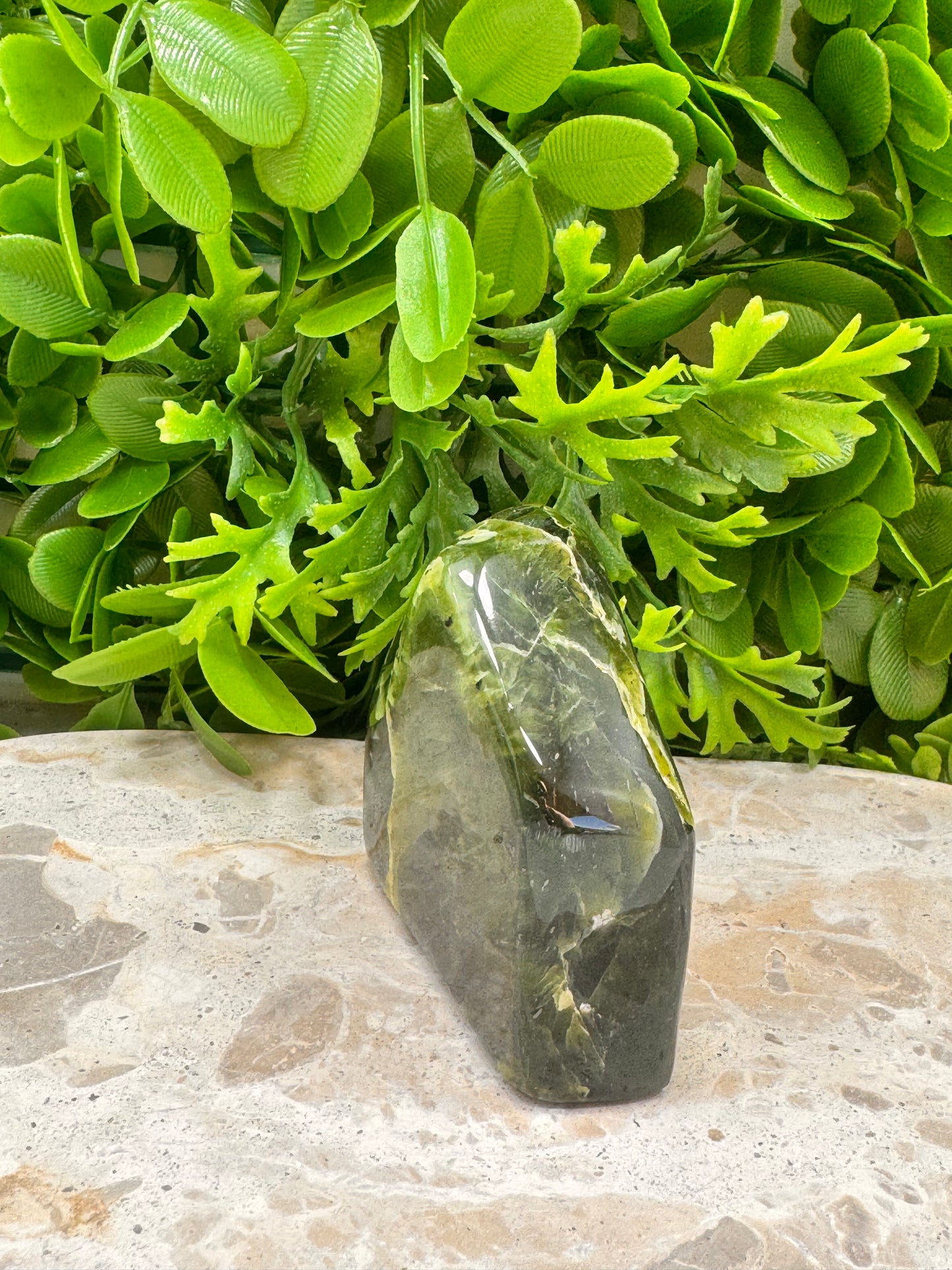 Nephrite Jade Freeform 238g
