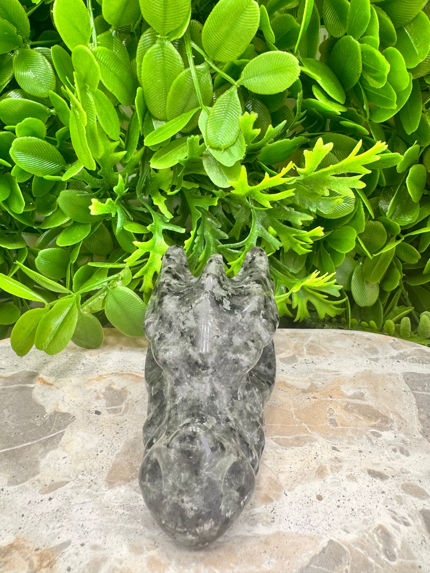 Larvikite Dragon Skull 308g