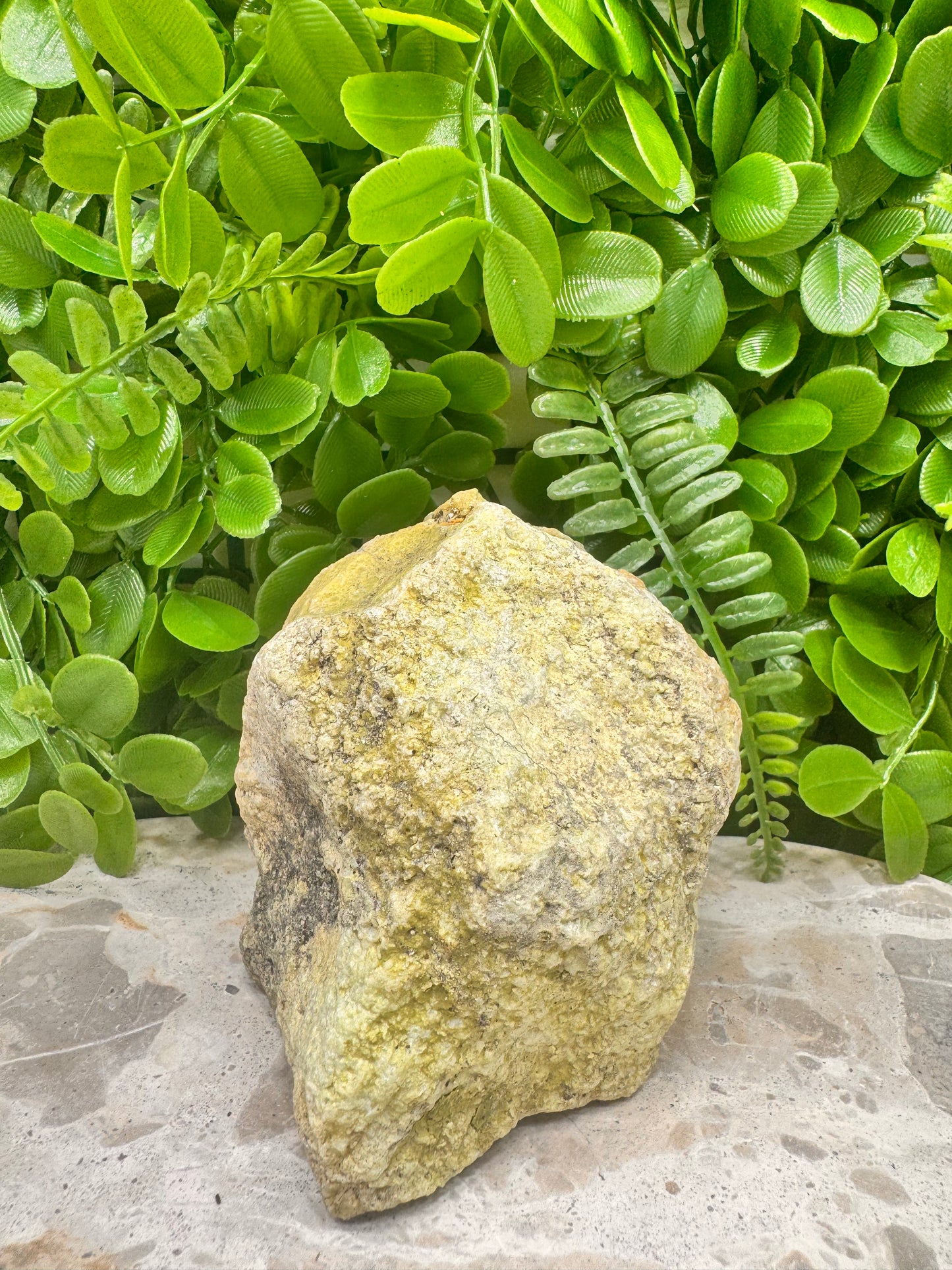 Green Opal Raw 658g