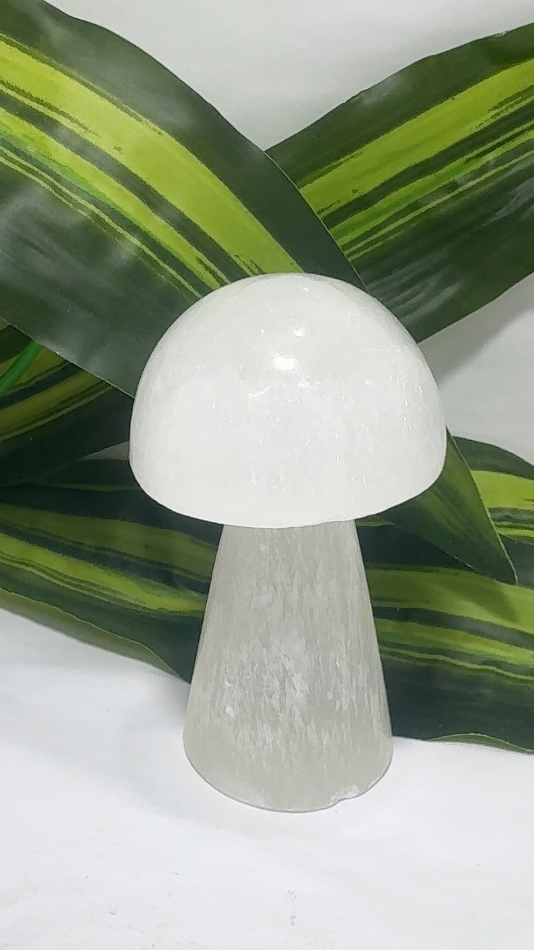 Selenite Mushrooms app 260g