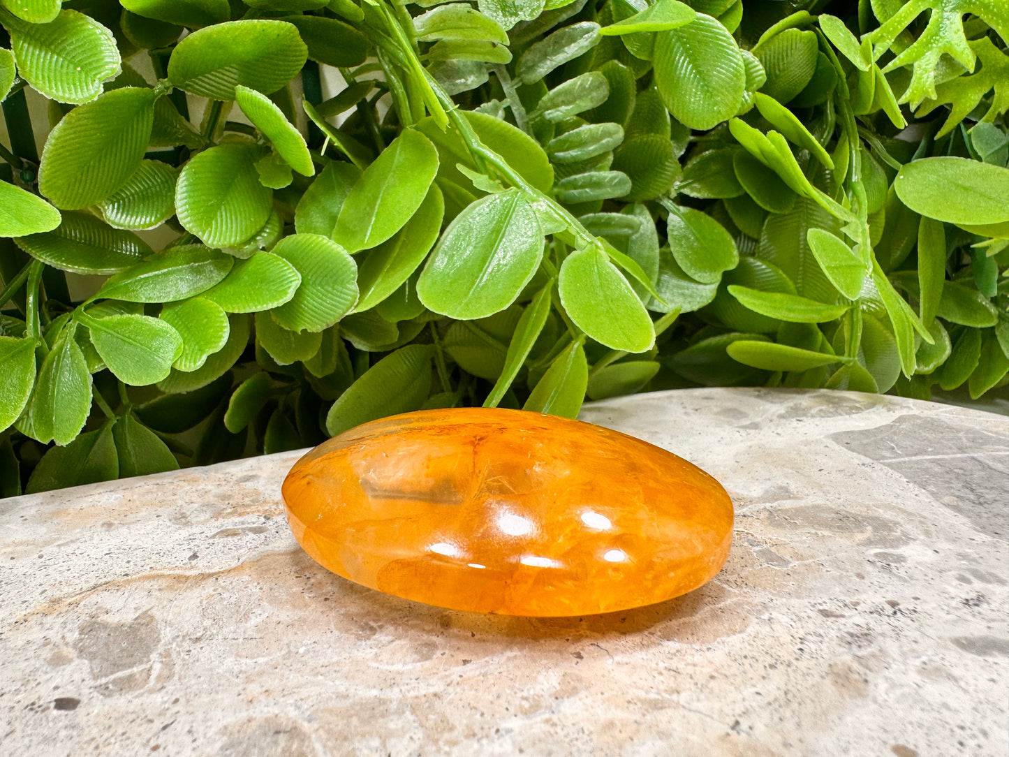 Golden Healer Palm Stone 70g