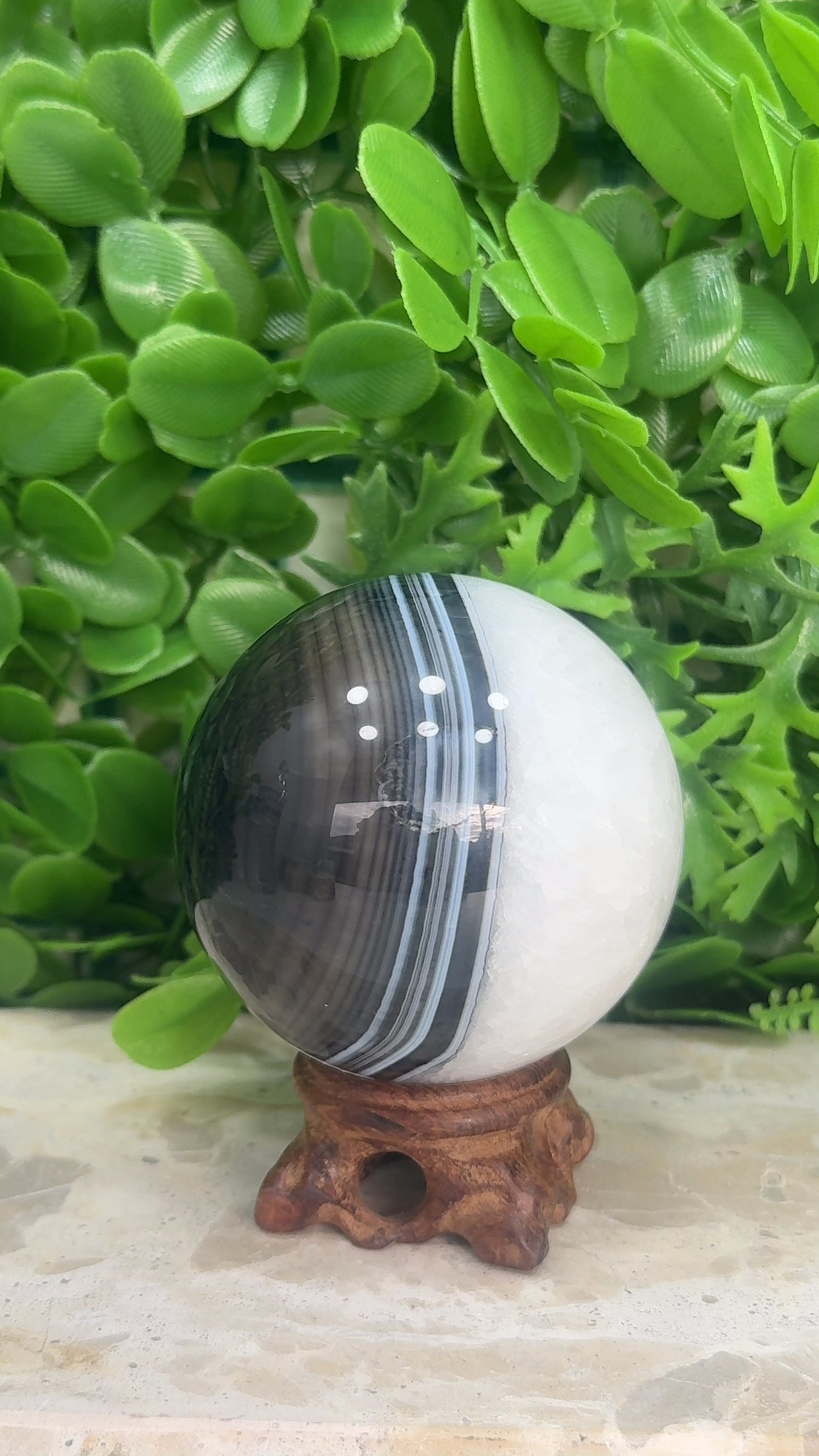 Black Banded Sardonyx Sphere 440g