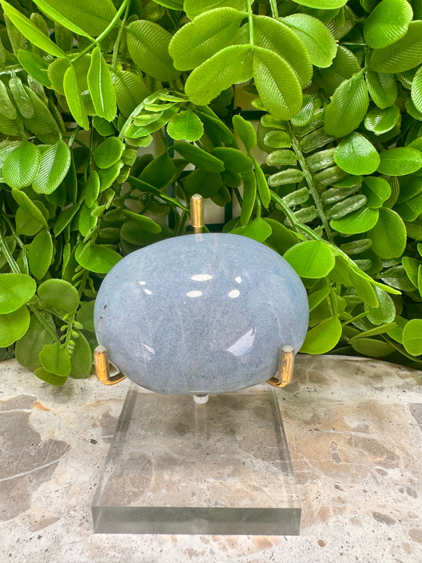 Trolleite Palm Stone 139g