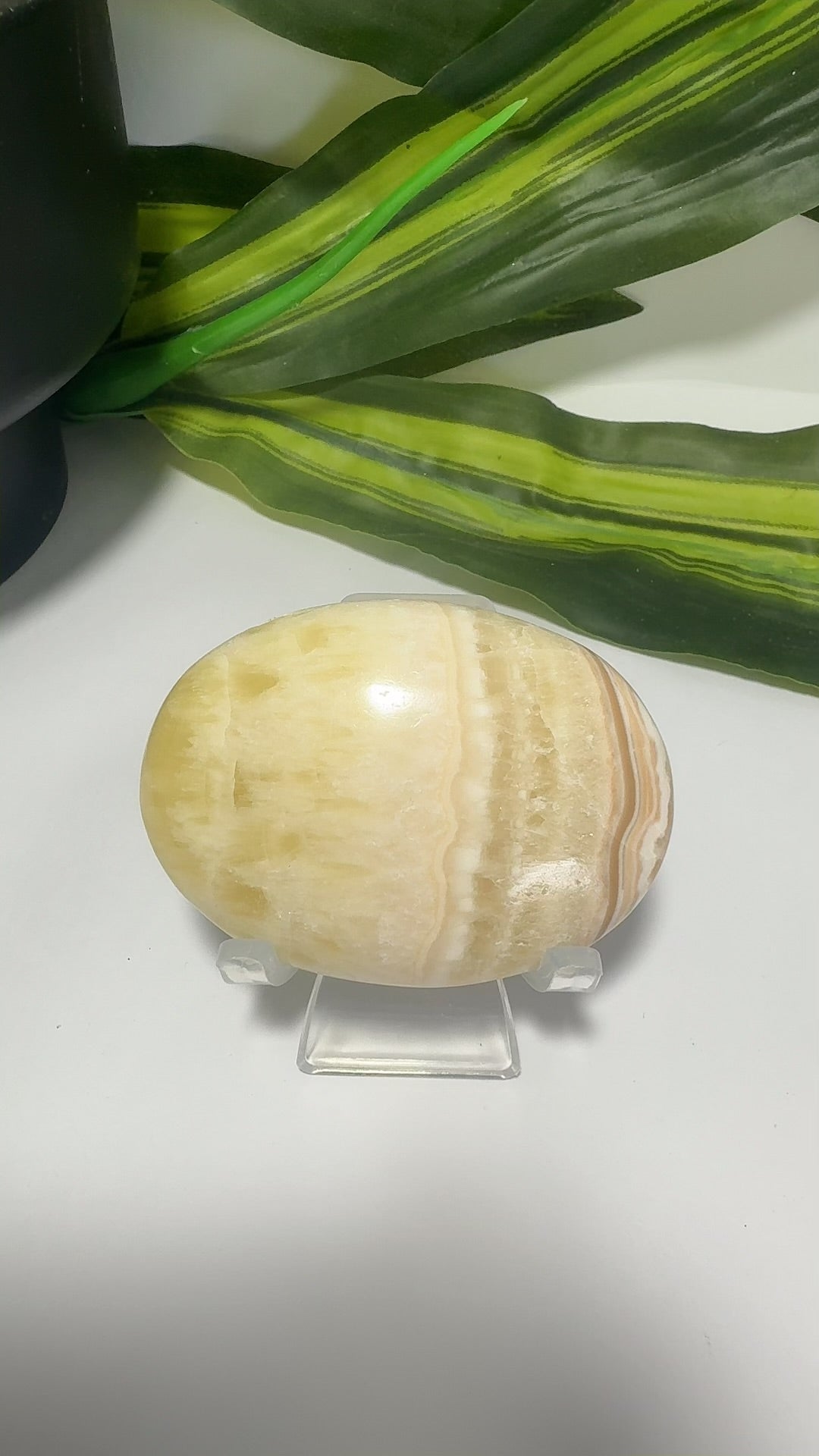 Pineapple Calcite Palm 100g