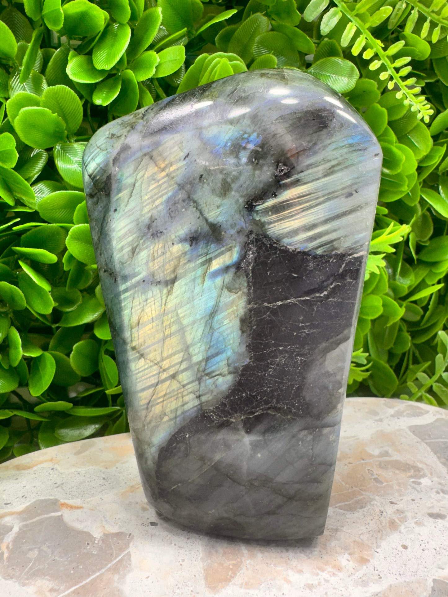 Labradorite Freeform 1446g