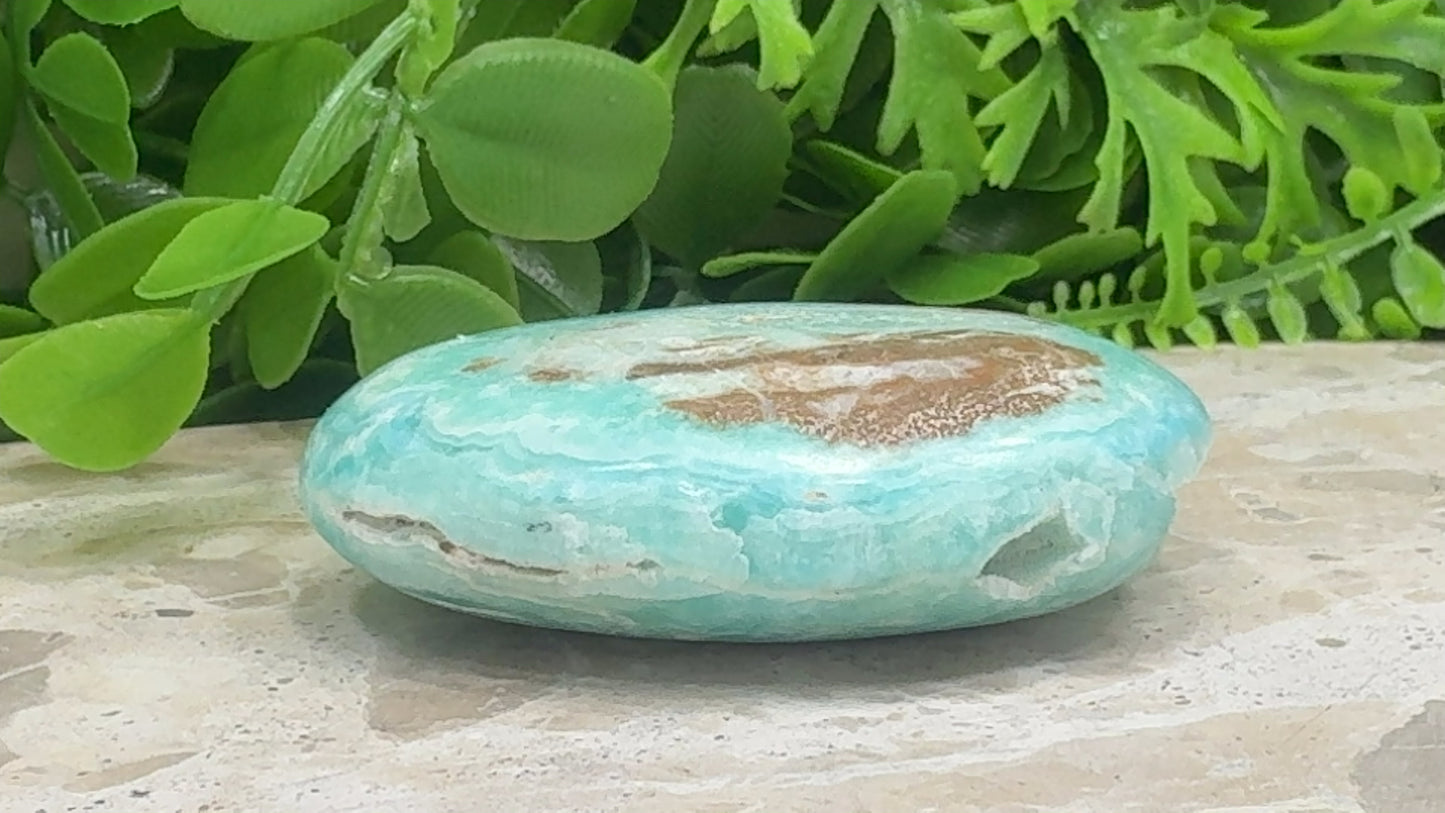 Aragonite Palm Stone 108g