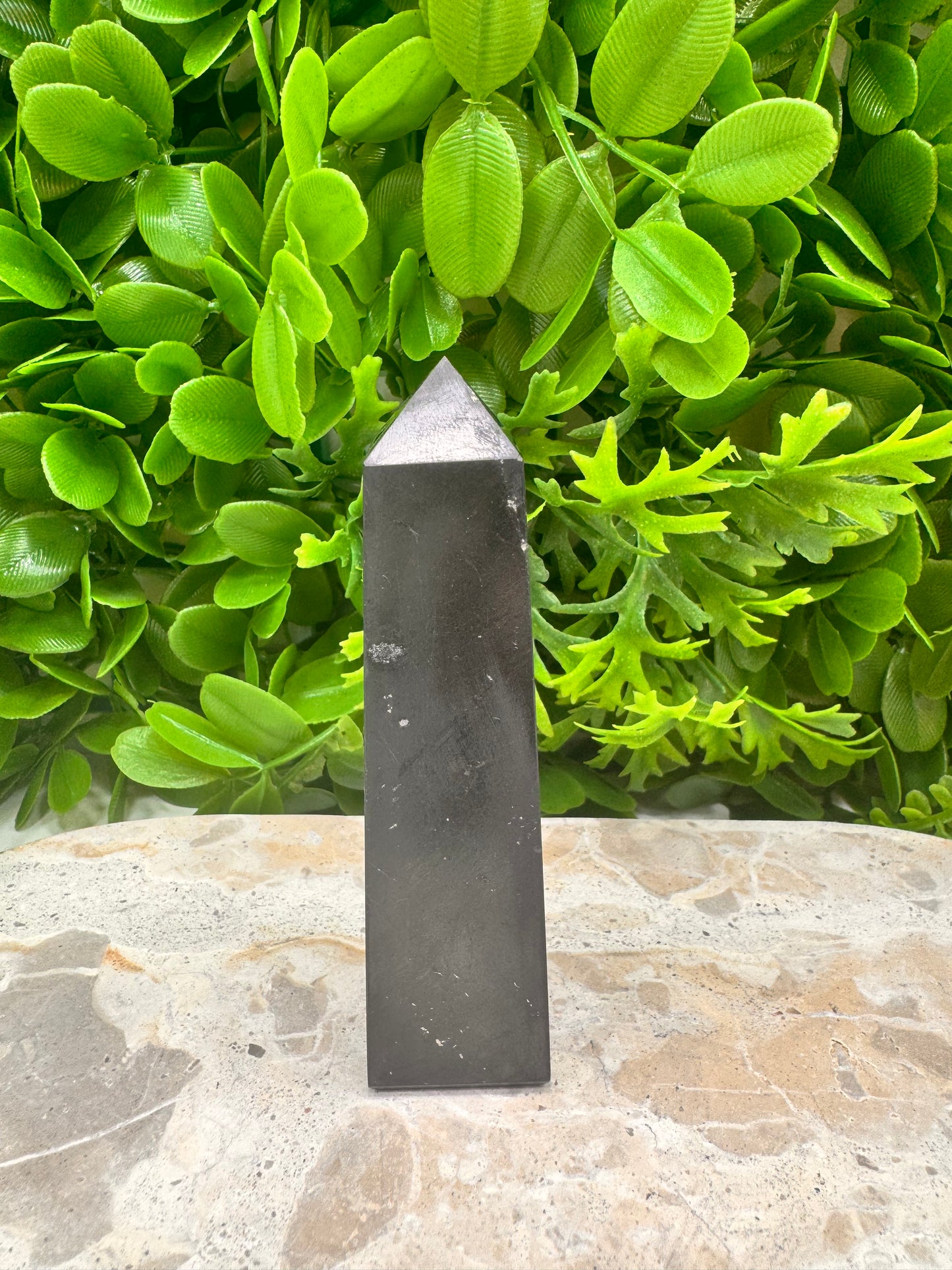 Shungite Pt 116g