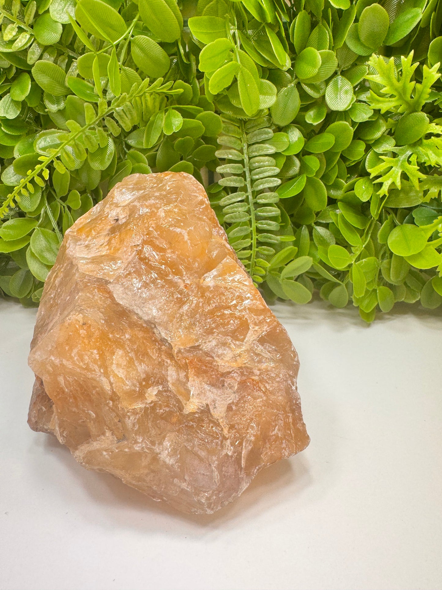Golden Healer Raw 2680g
