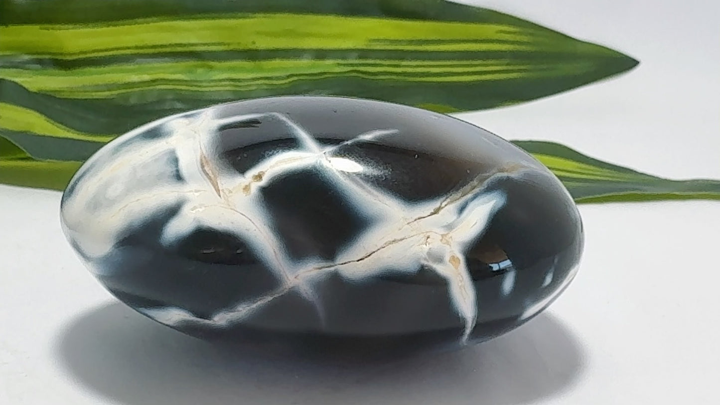 Orca Agate Heart 288g
