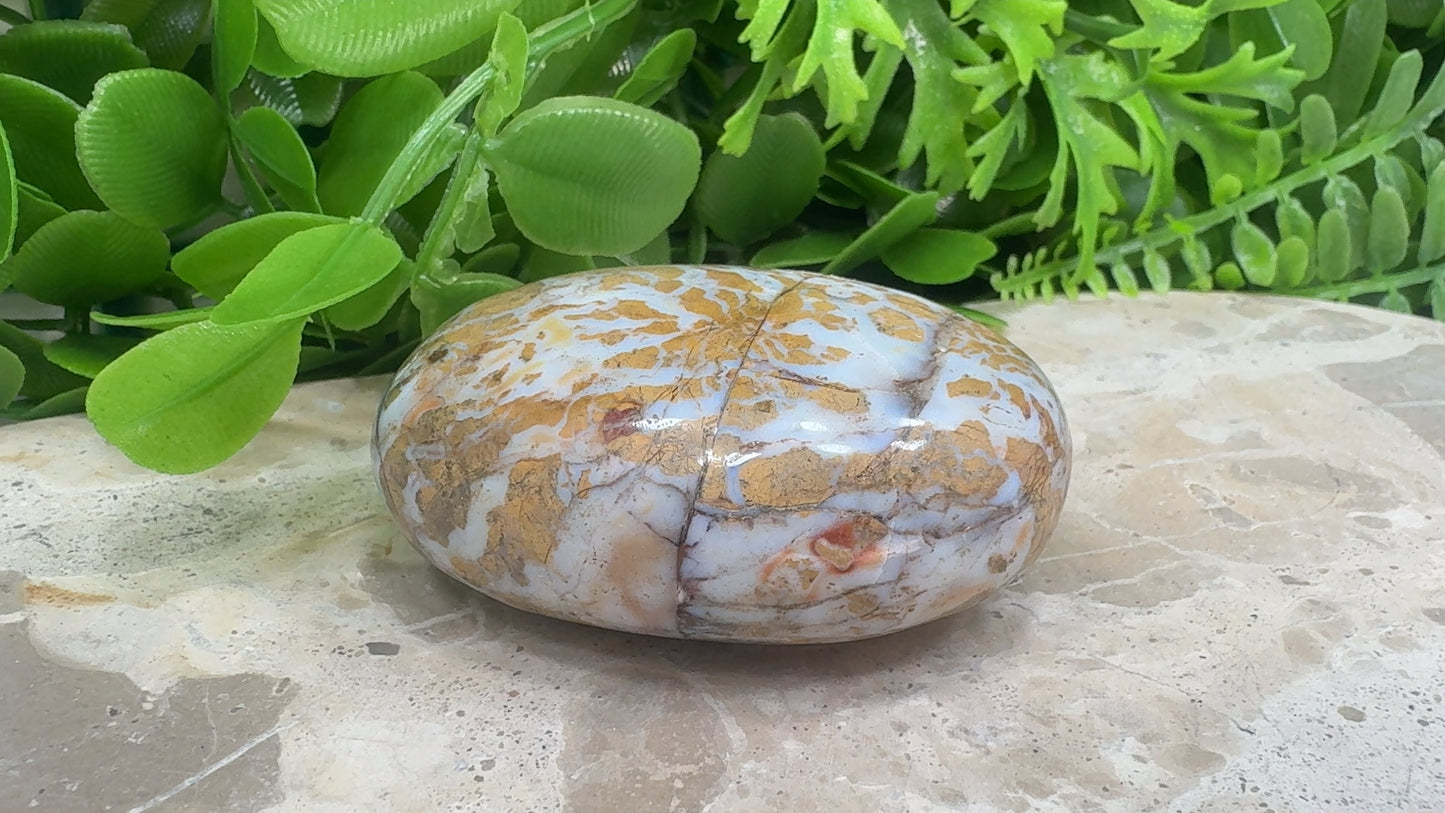 Jasper Agate Palm Stone 130g