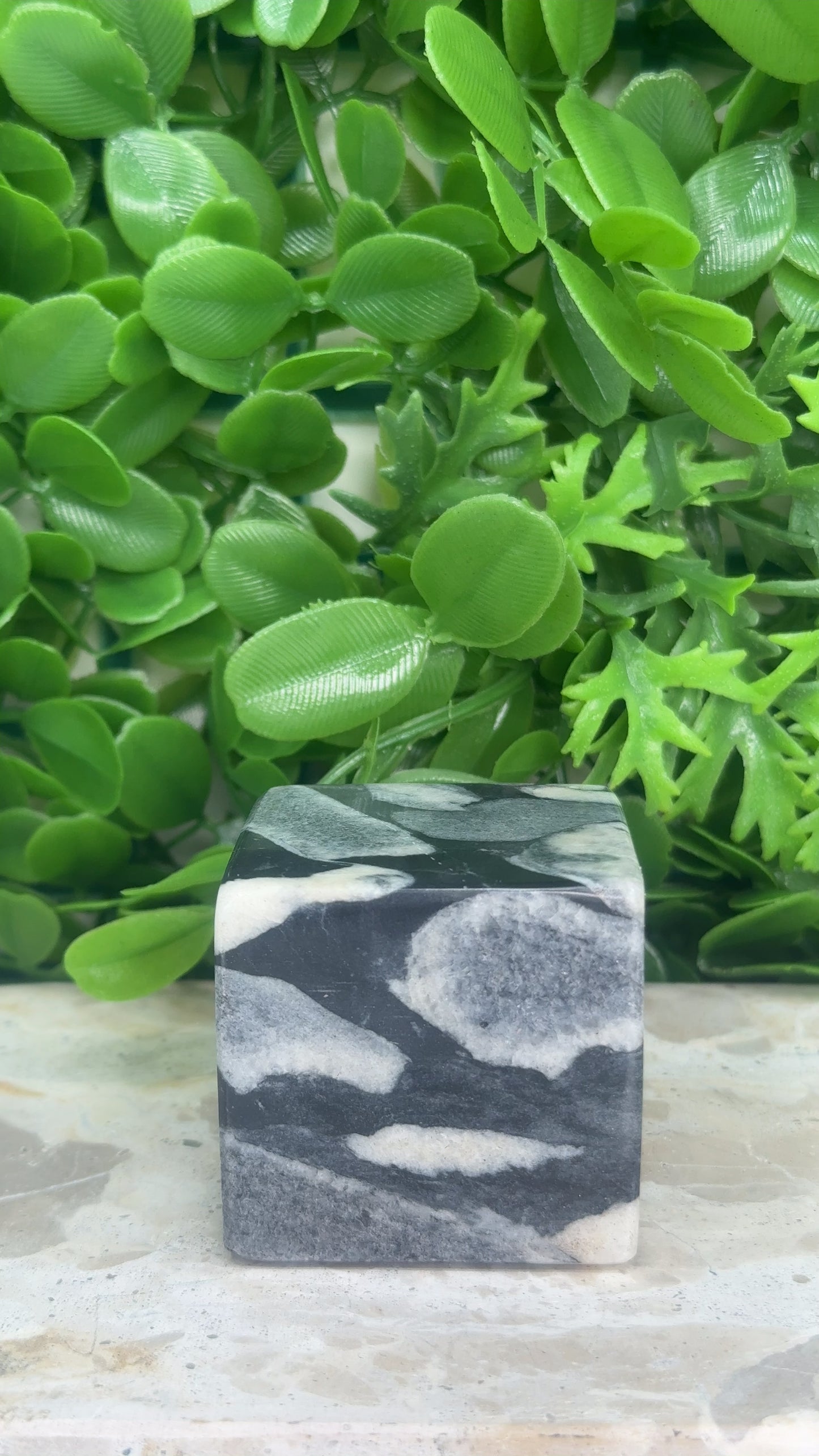 Shell Jasper Cube 322g