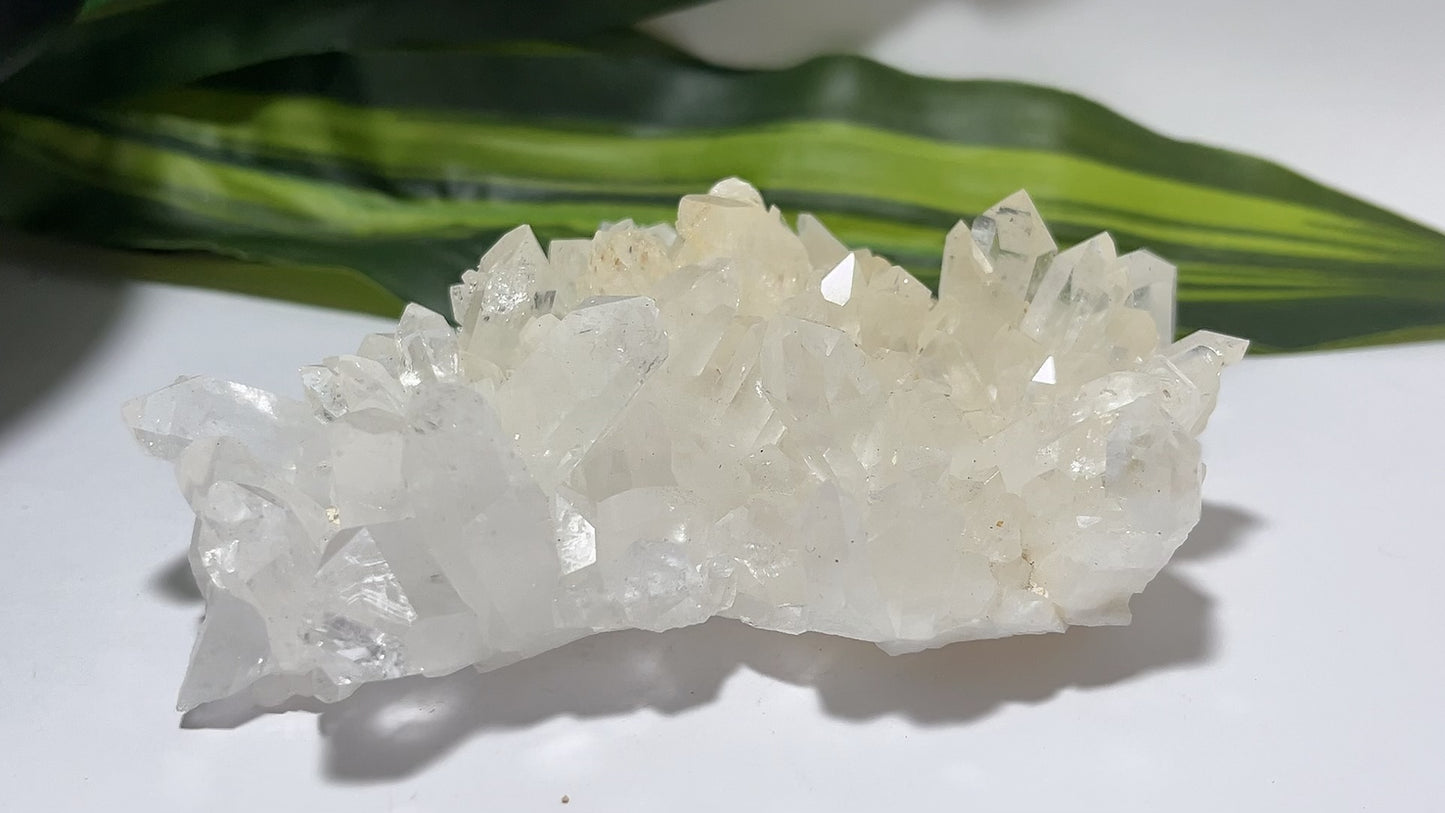 Clear Quartz Cluster 266g