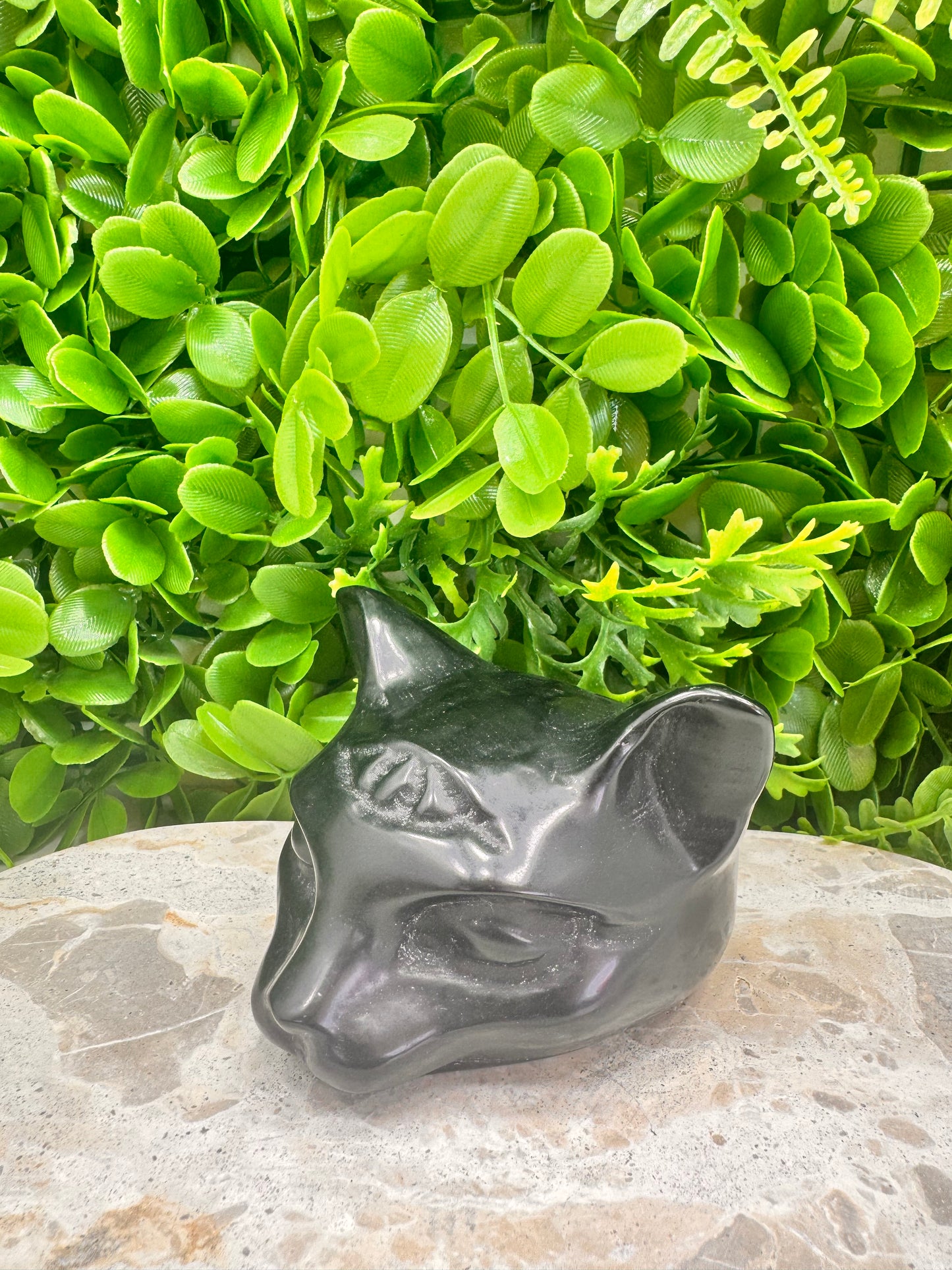 Black Obsidian Cat 710g