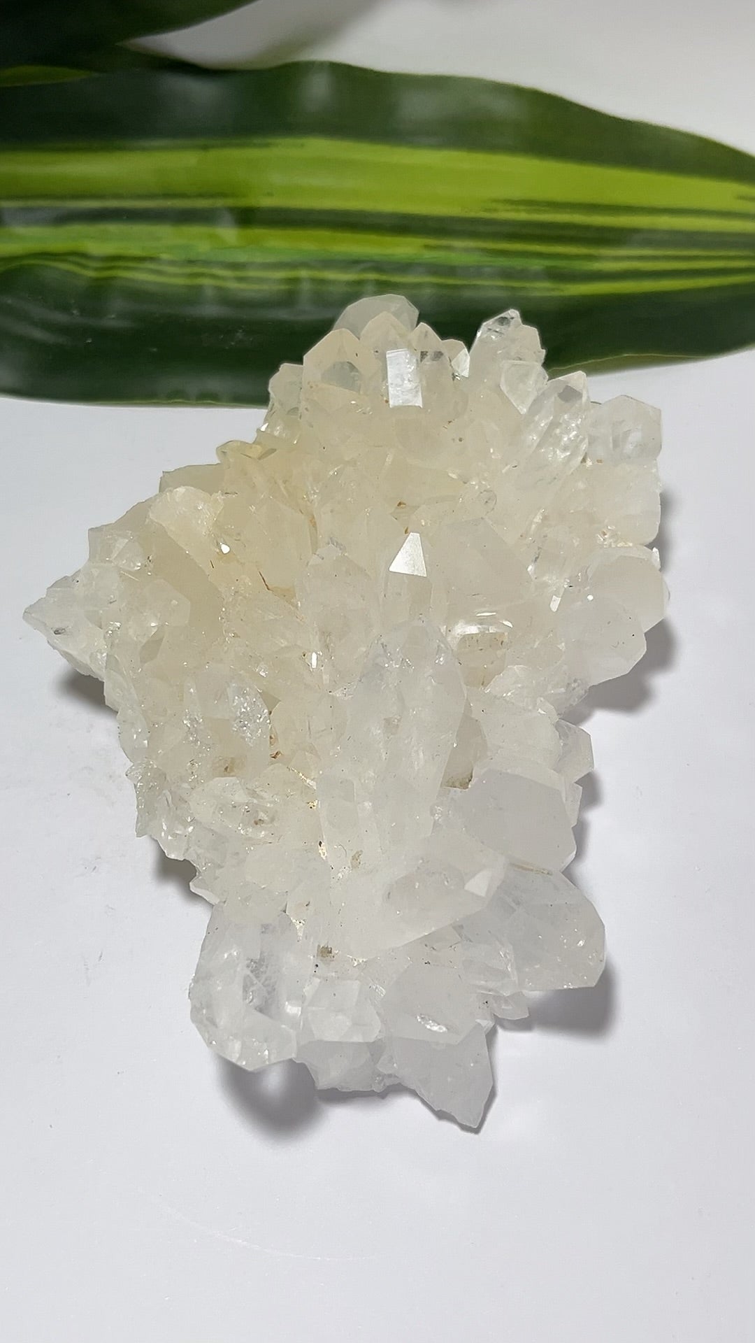Clear Quartz Cluster 266g