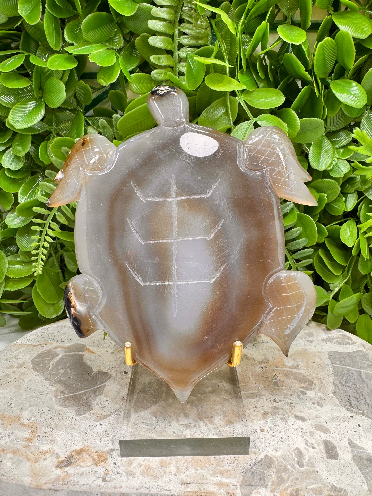Druzy Agate Turtle 372g