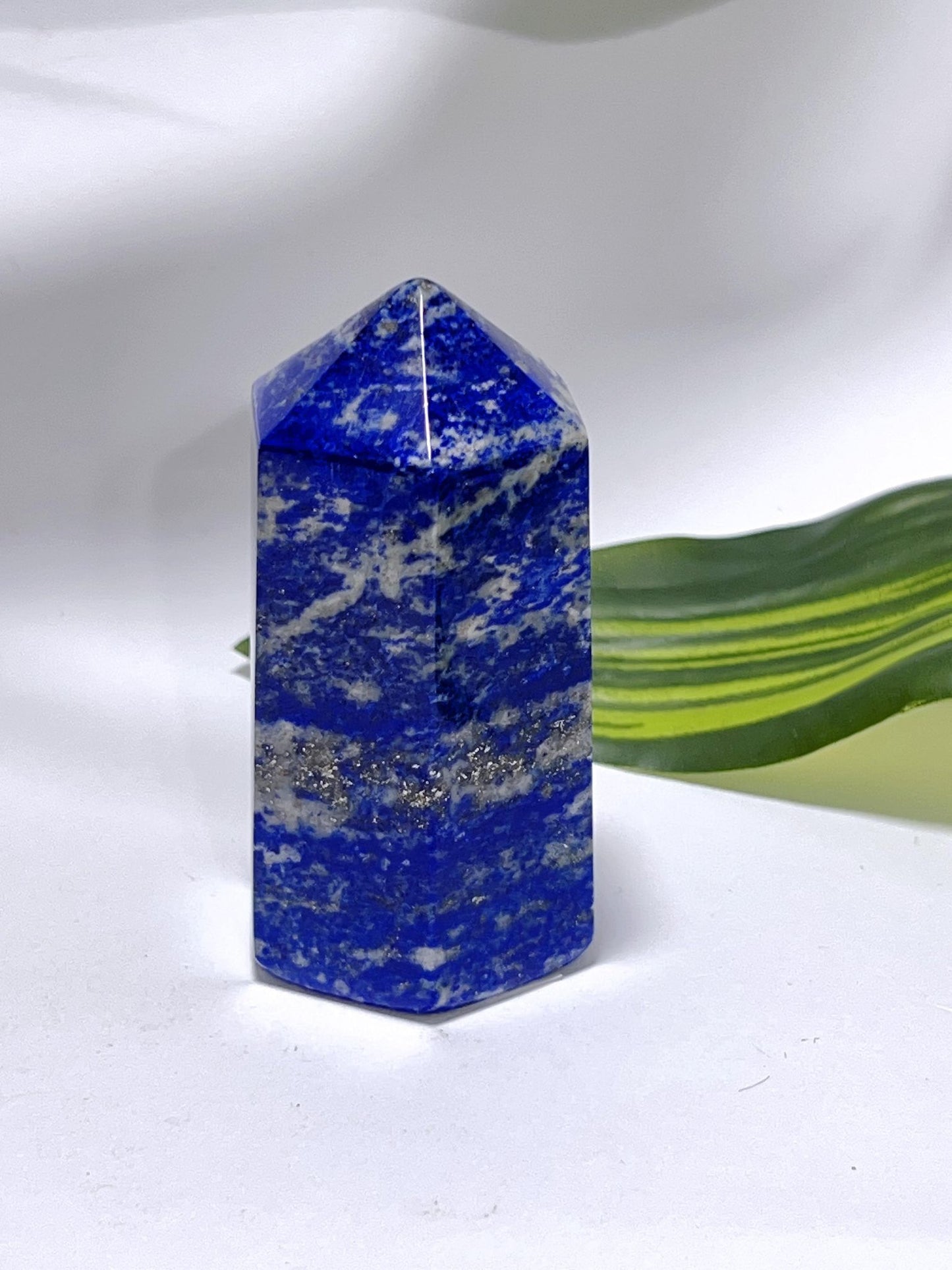 Lapis Lazuli Pt 164G