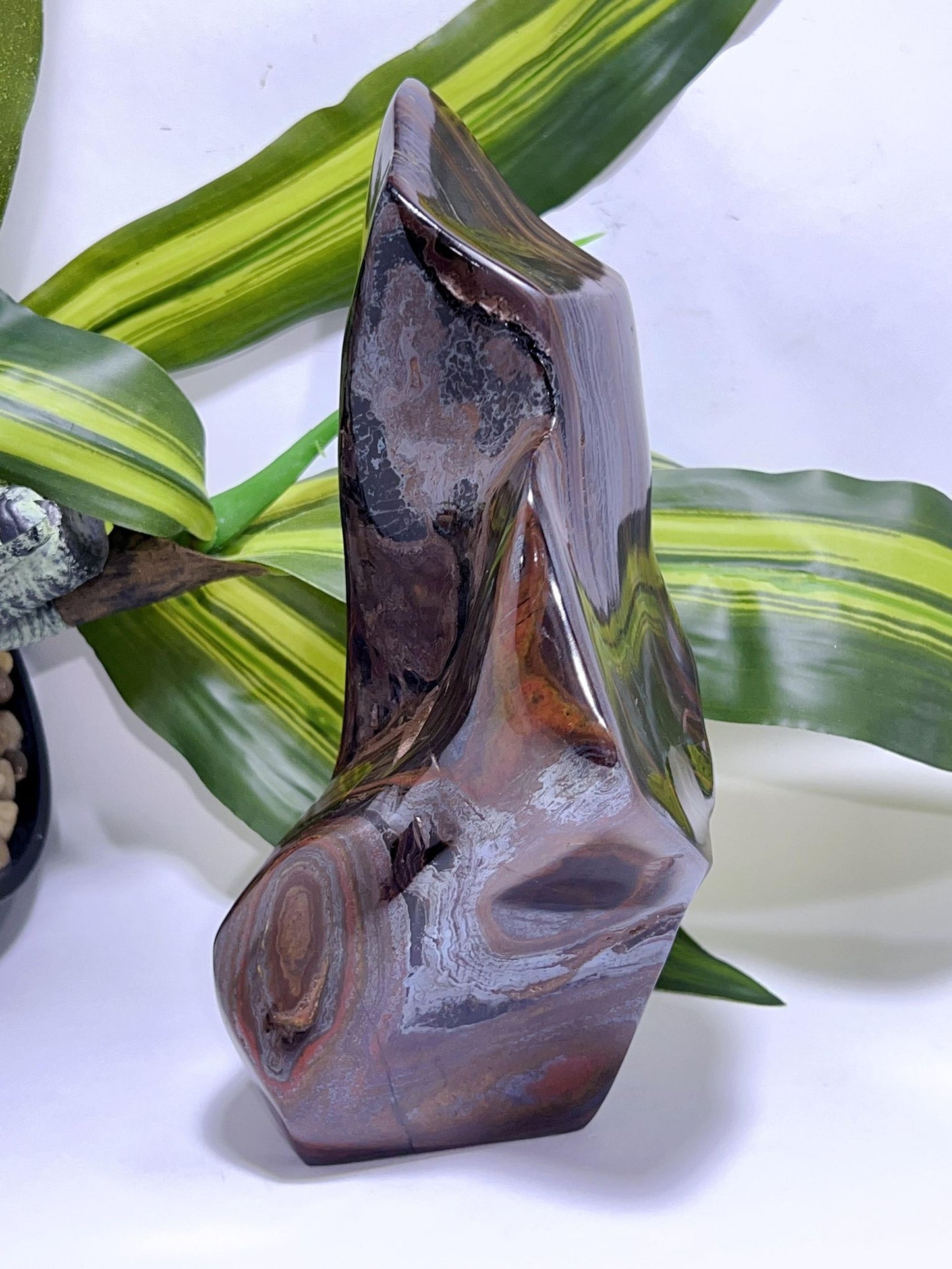 Tiger Iron with Tiger Eye Freeform 2128G